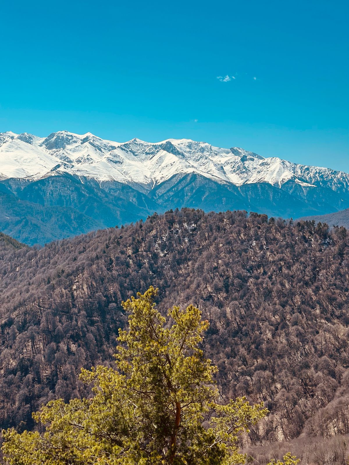 Вау-поездка в Домбай! Горы, термы - кайф! Индивидуально. (16/24)