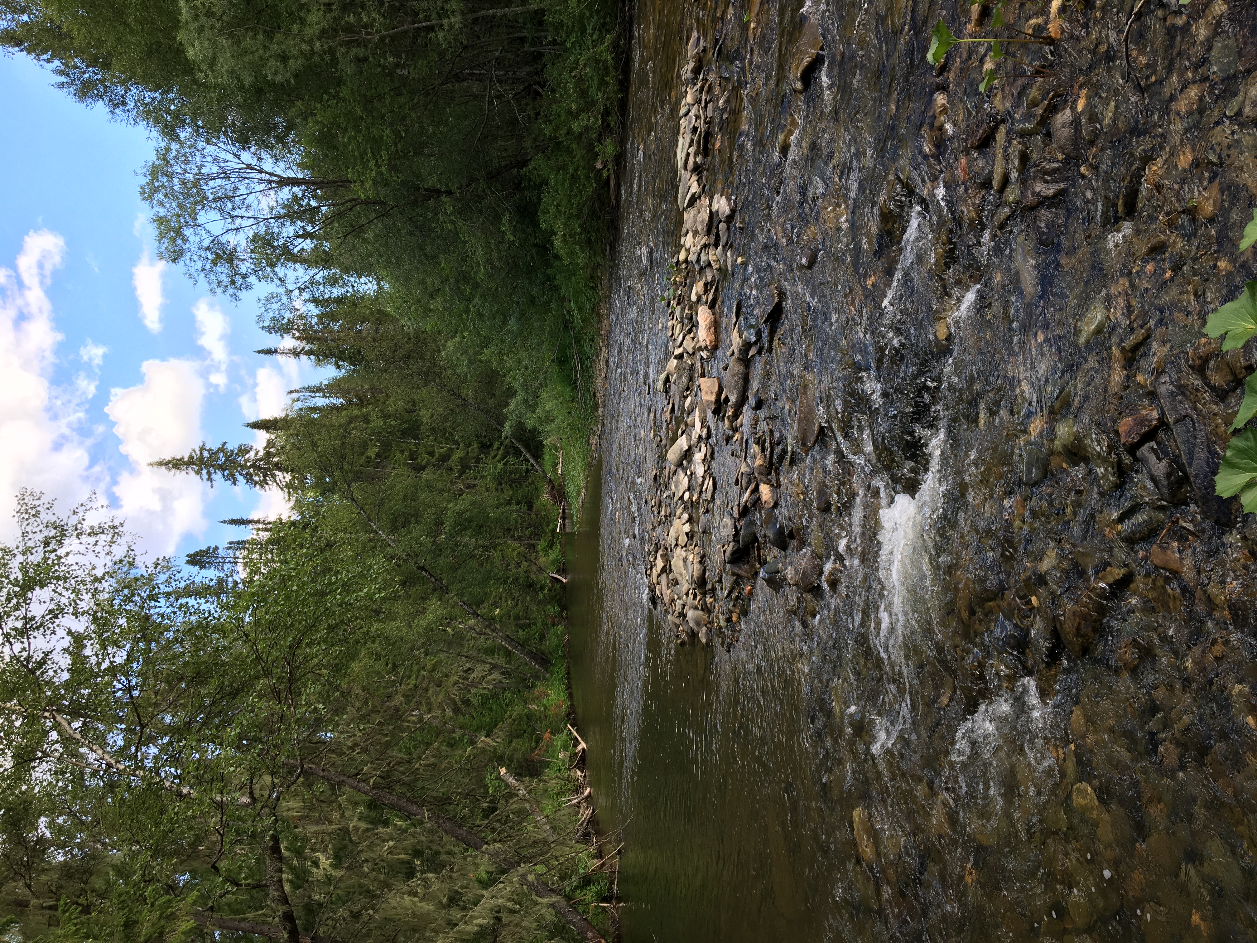 Поход на перевал Дятлова и гору Отортен (14/16)