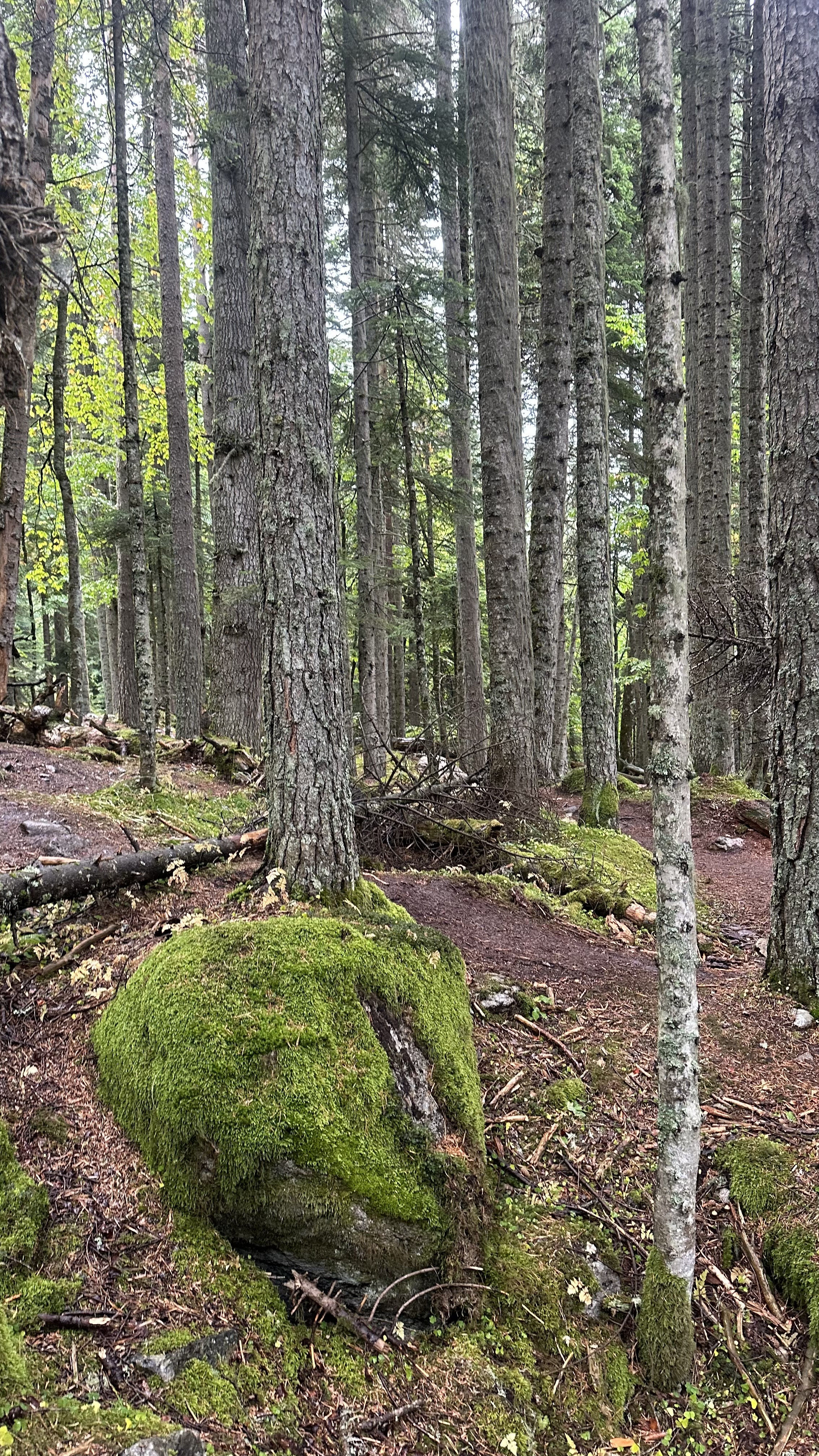 Конный тур Осень в Архызе (23/59)