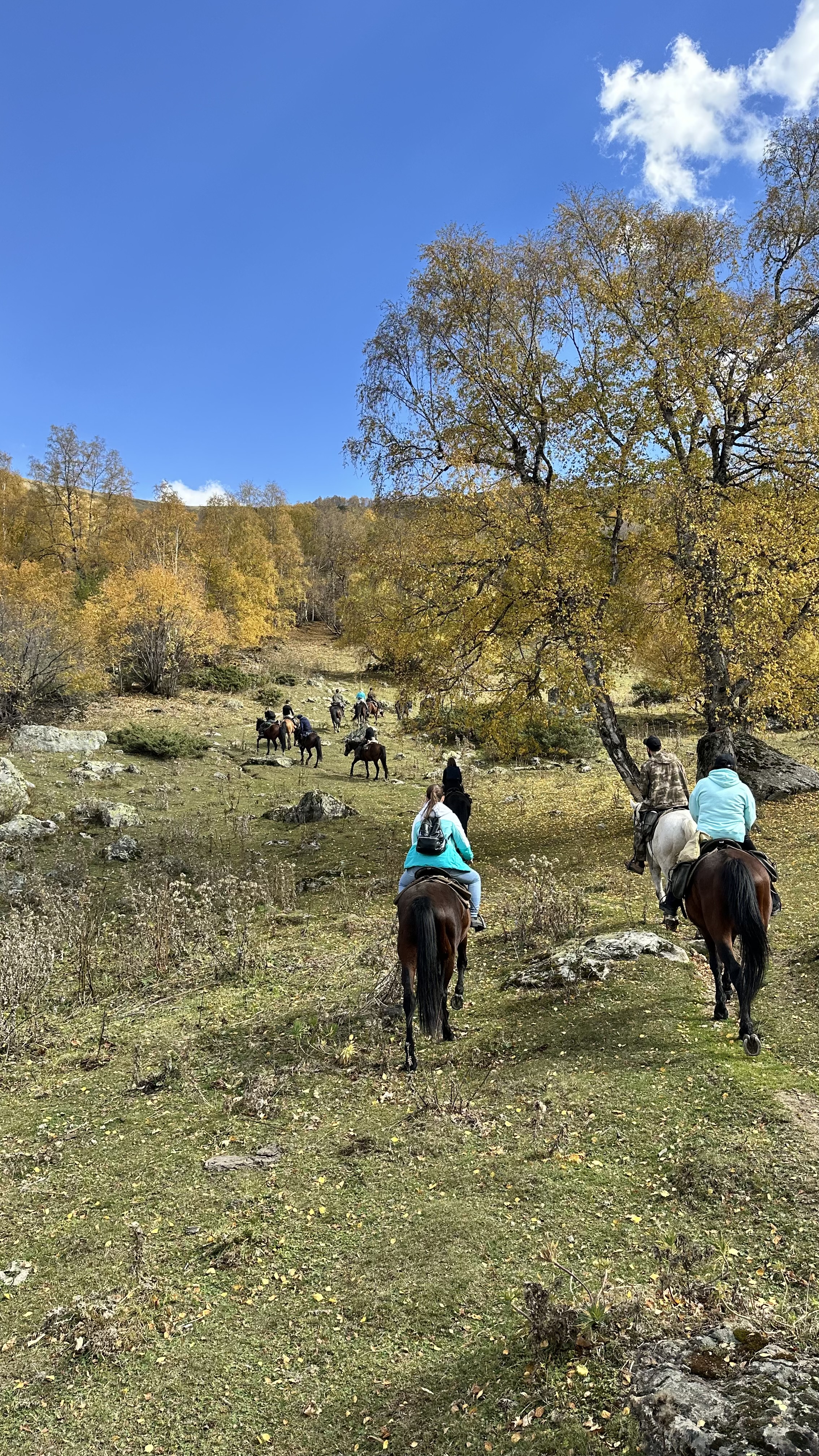 Конный тур Осень в Архызе (32/59)