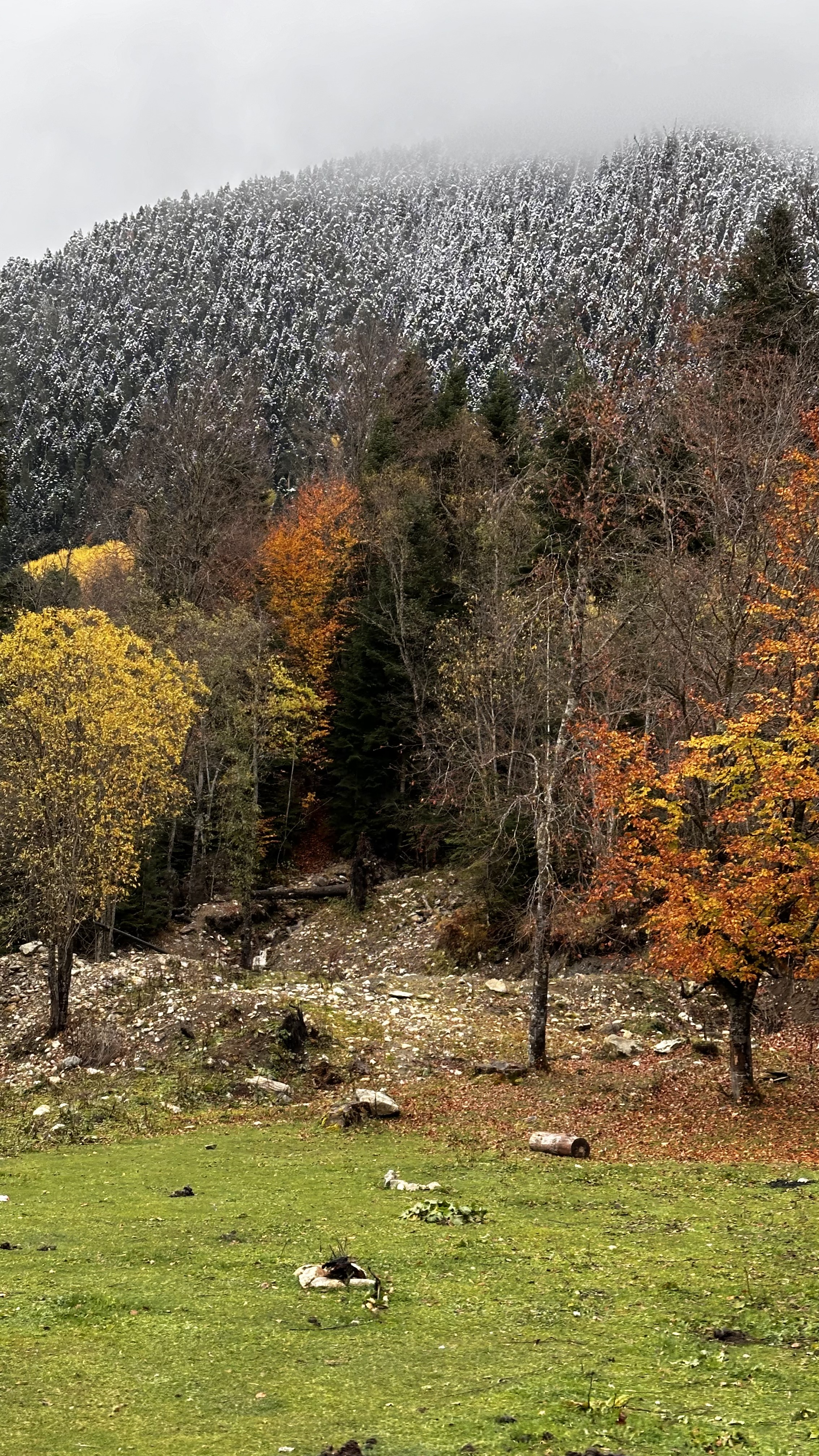 Конный тур Осень в Архызе (21/59)