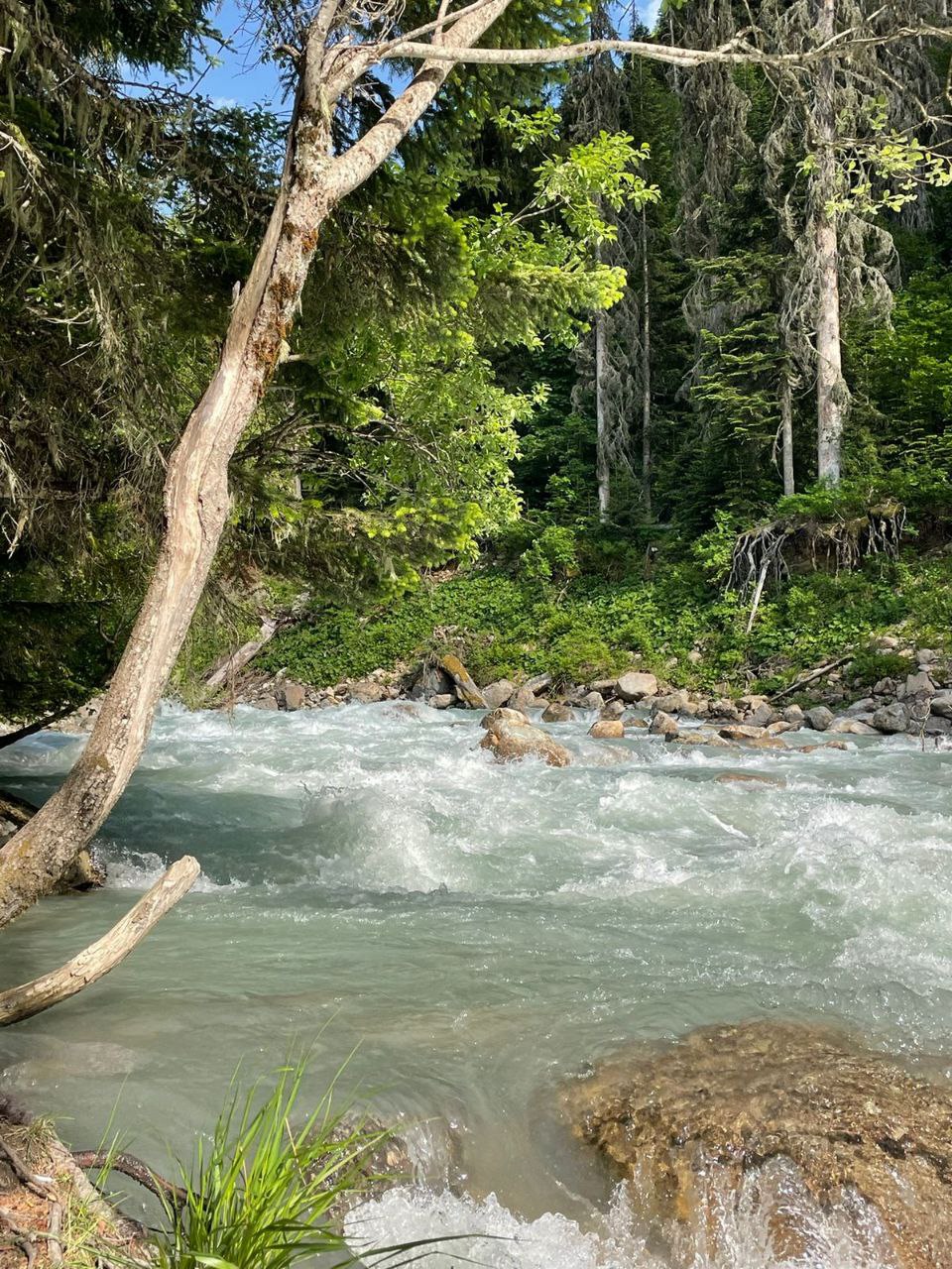 Вау-поездка в Домбай! Горы, термы - кайф! Индивидуально. (23/24)