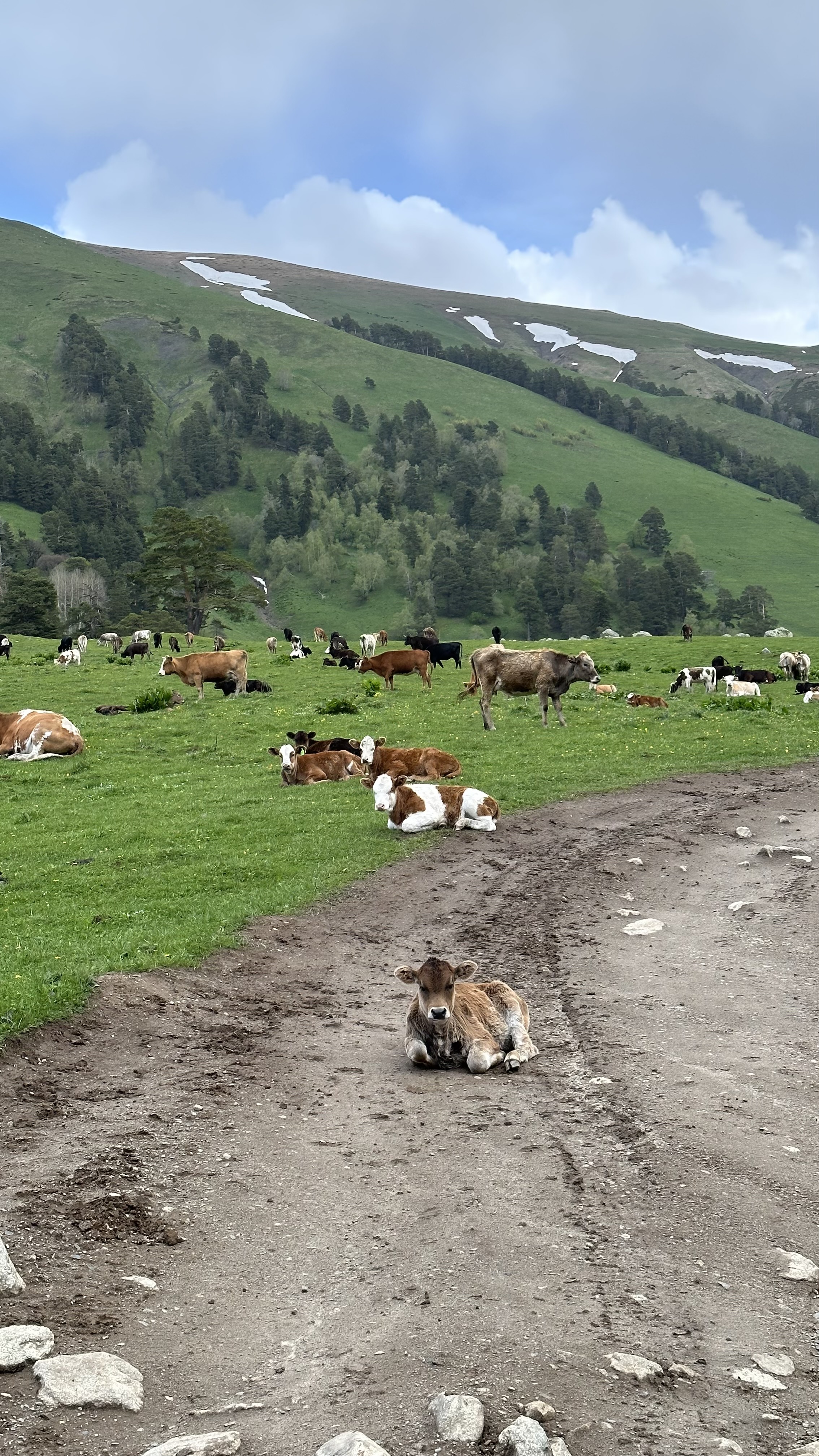 Конная прогулка к Софийскому леднику и водопадам без треккинга (Архыз) (7/13)