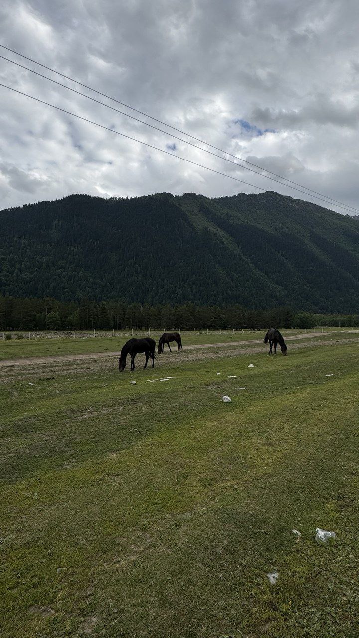 Вау-поездка в Домбай! Горы, термы - кайф! Индивидуально. (8/24)