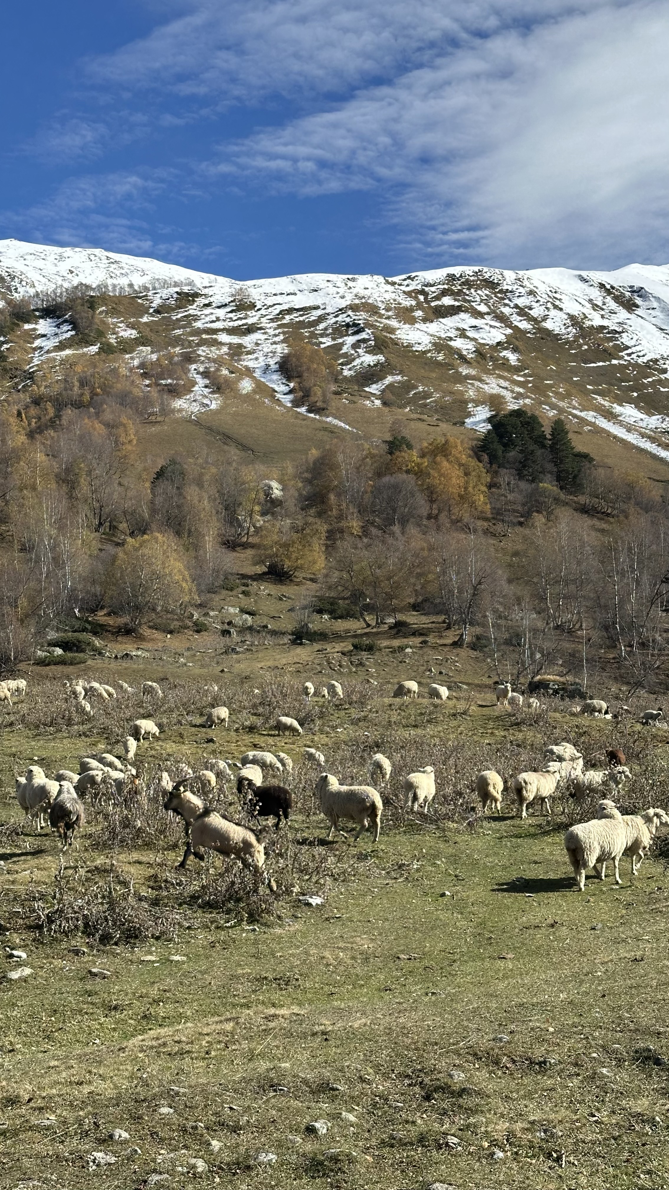 Конный тур Осень в Архызе (35/59)