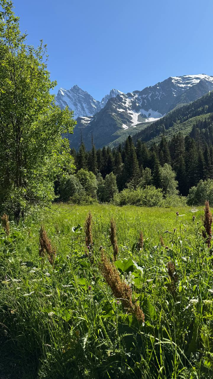 Вау-поездка в Домбай! Горы, термы - кайф! Индивидуально. (9/24)