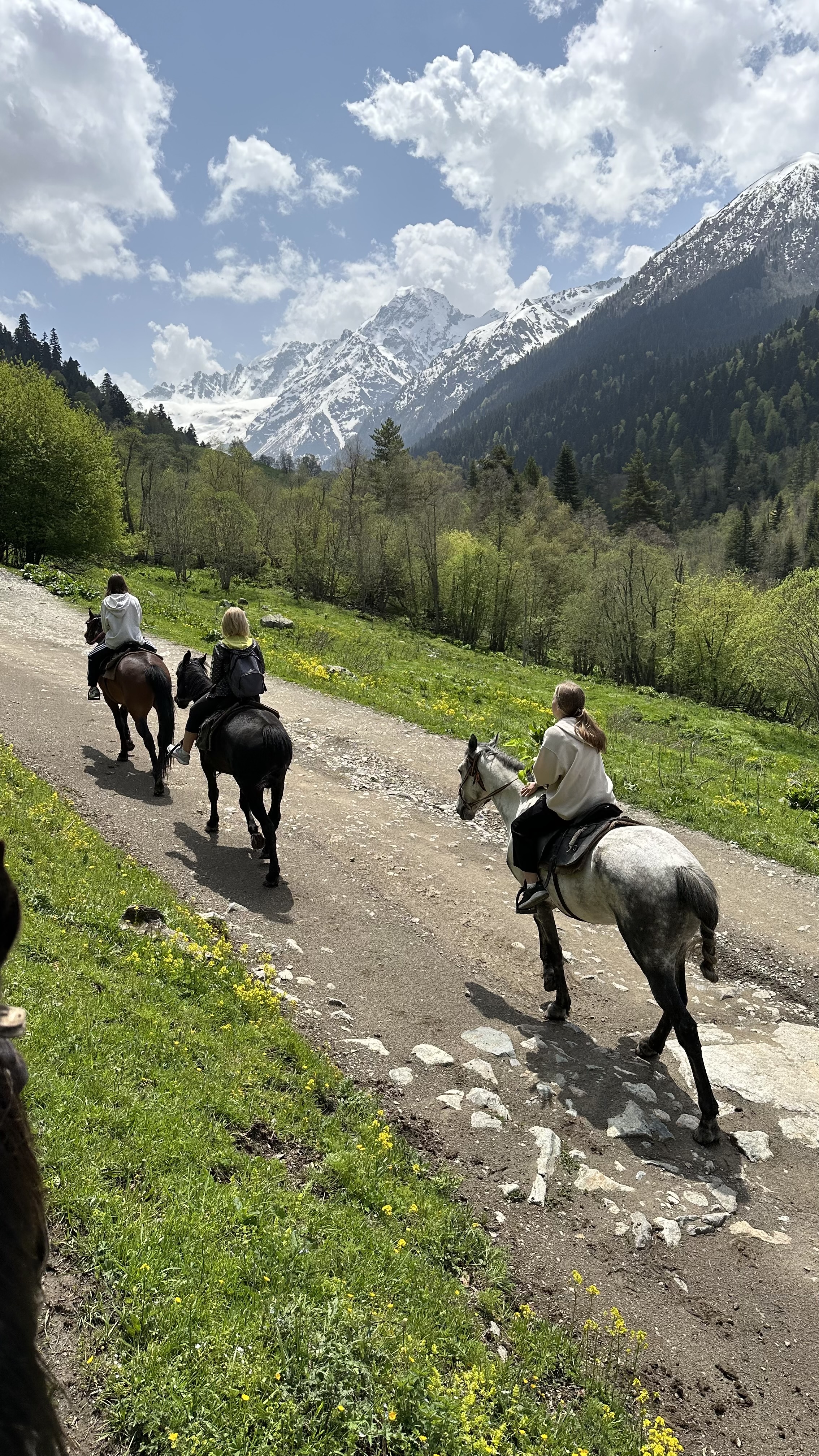Конная прогулка к Софийскому леднику и водопадам без треккинга (Архыз) (6/13)
