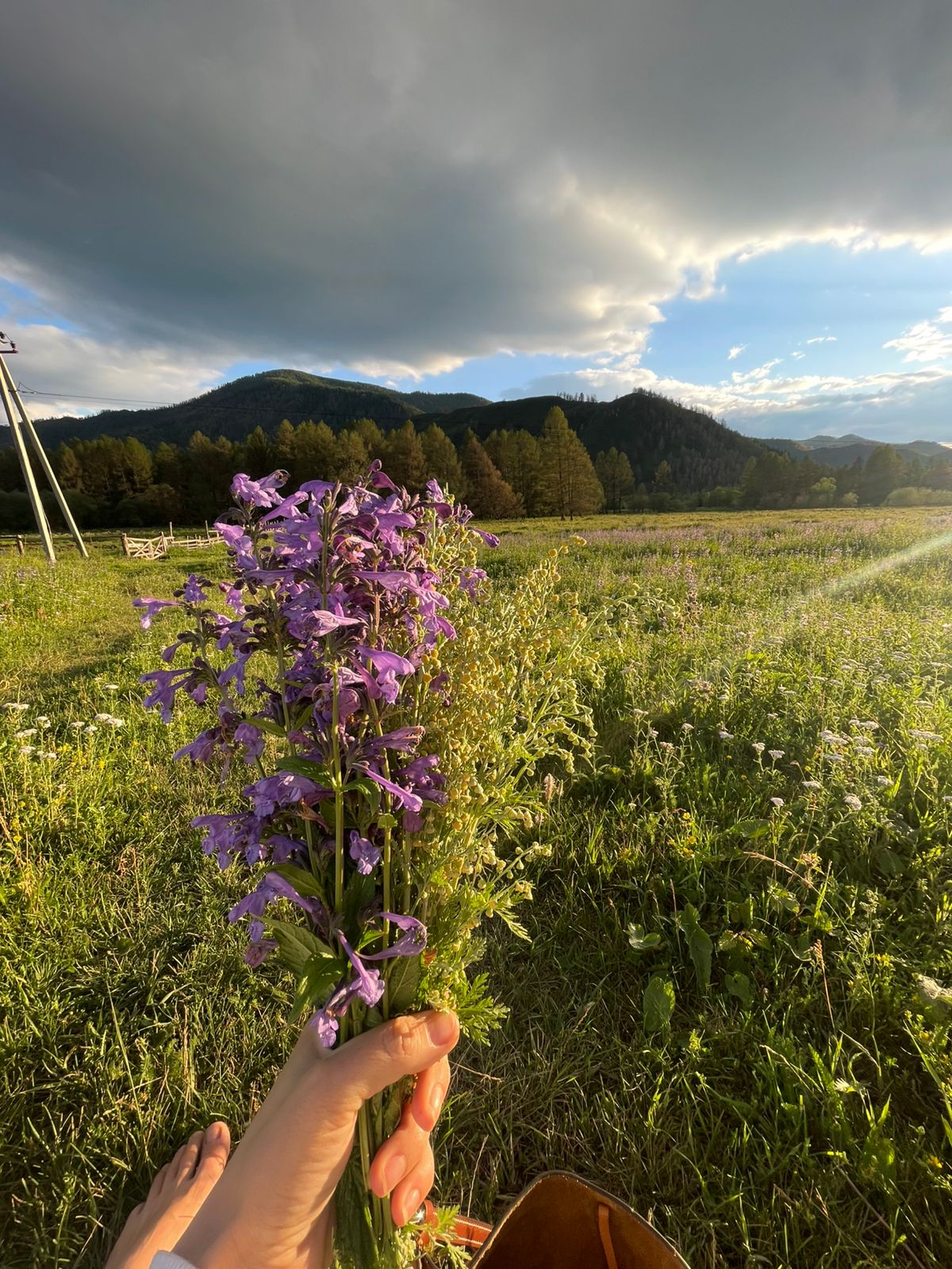 Мультинские озера