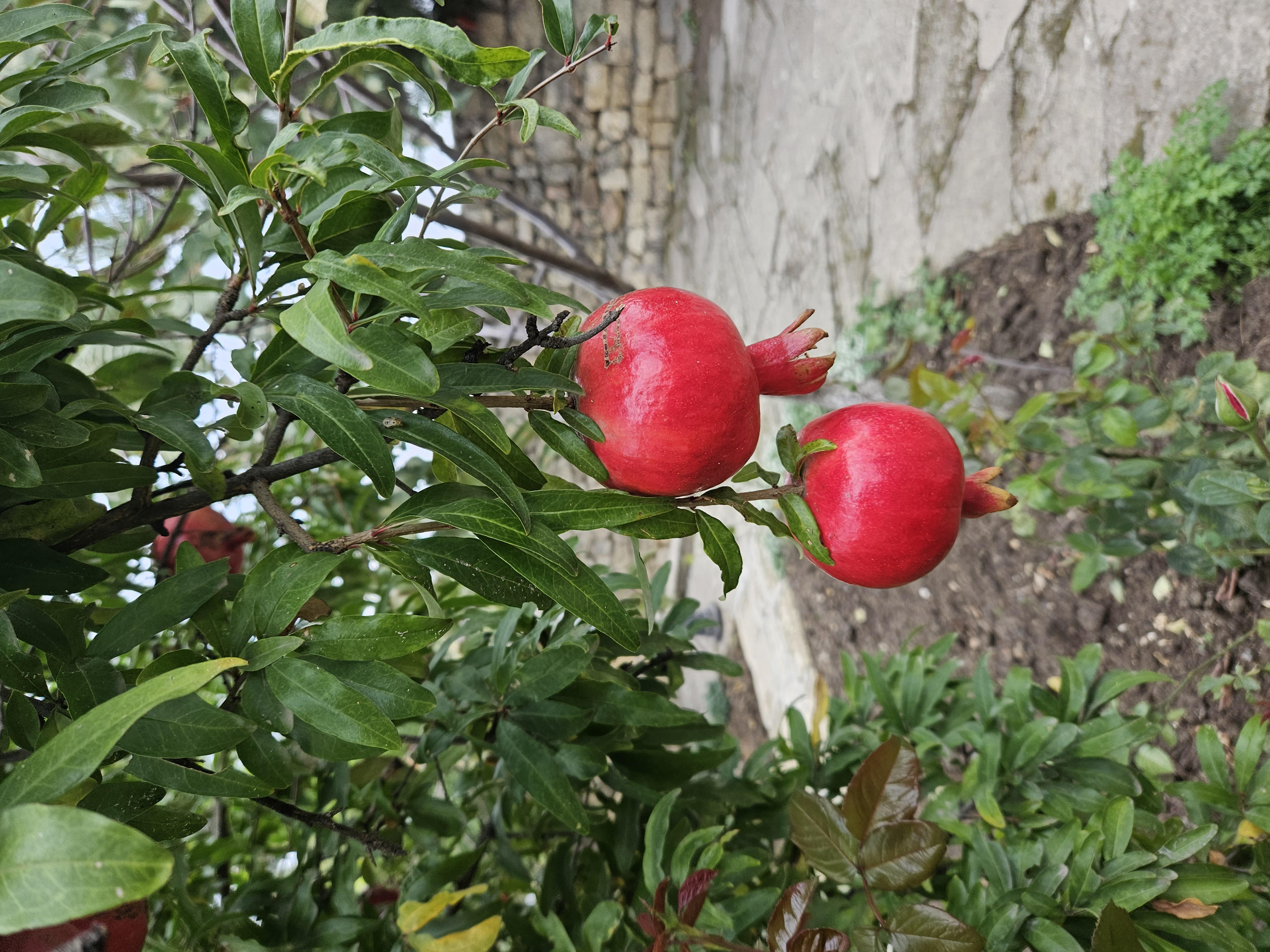 С душой по Дагестану (17/32)