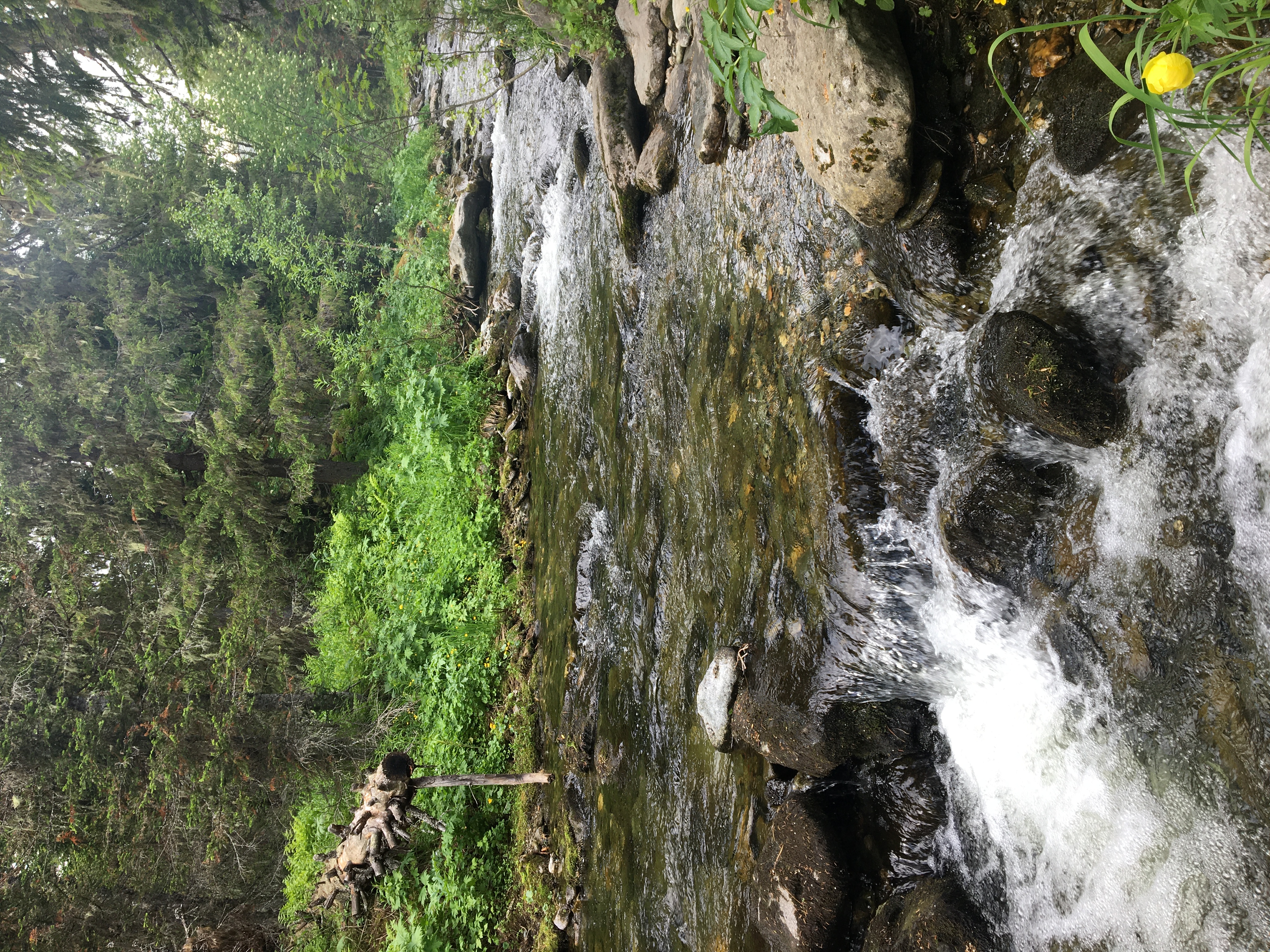 Поход на перевал Дятлова и гору Отортен (2/16)