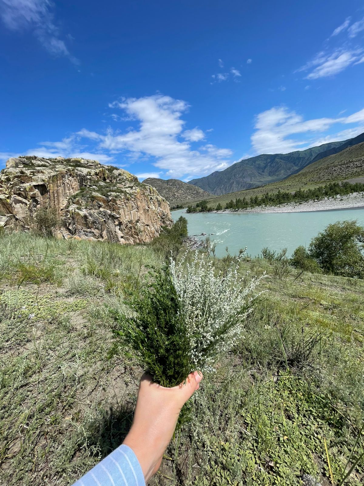 В Сердце Азии - тур по Чуйскому тракту (16/19)