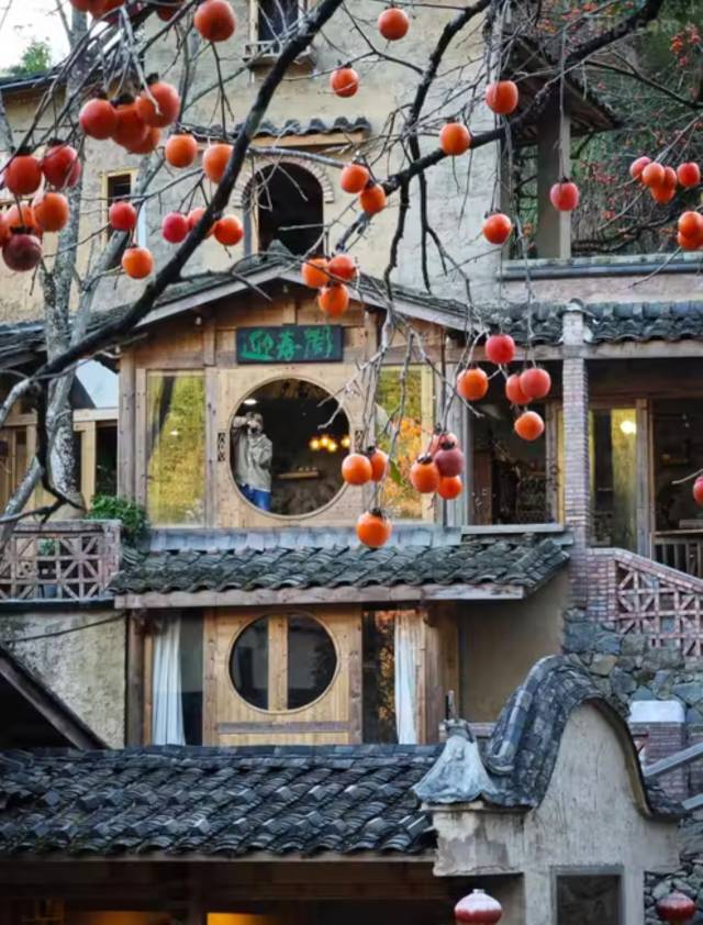 Осенняя сказка Восточного Фуцзянь: Фучжоу и панды, хурма и древние деревни Пиннаня