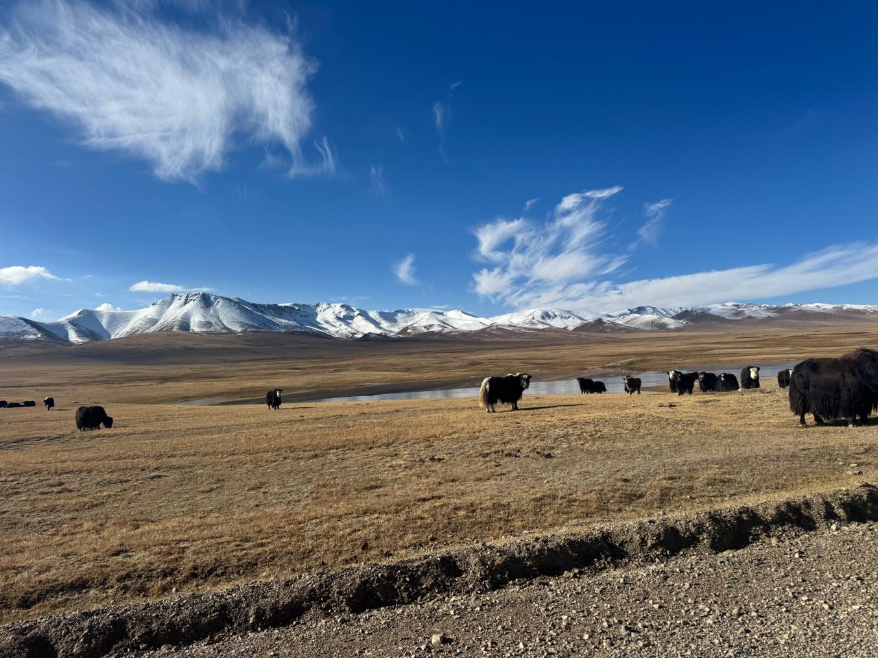 Bishkek : Song-Kul Lake & Ancient Burana Tower (2-Days in Alpine lake between Peaks) (11/21)