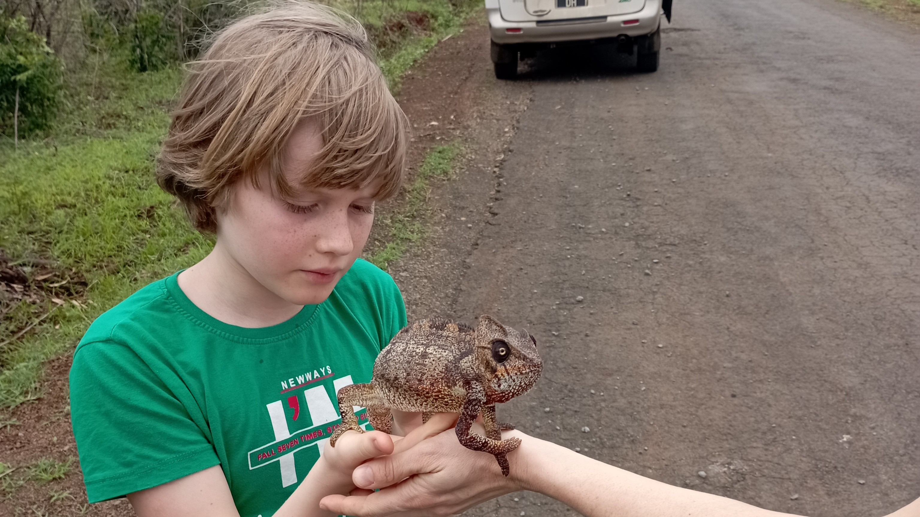 Магия Мадагаскара: Знаковые места и Пляжный Отдых - Нуси Бе с Лучшей Подборкой Отелей (14/32)