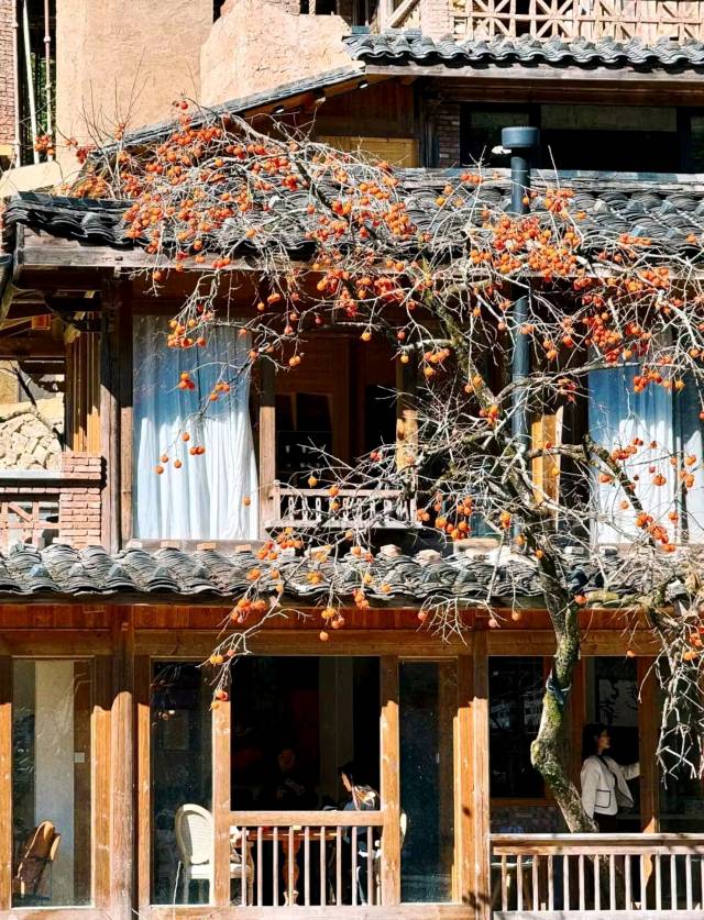 Осенняя сказка Восточного Фуцзянь: Фучжоу и панды, хурма и древние деревни Пиннаня (19/24)