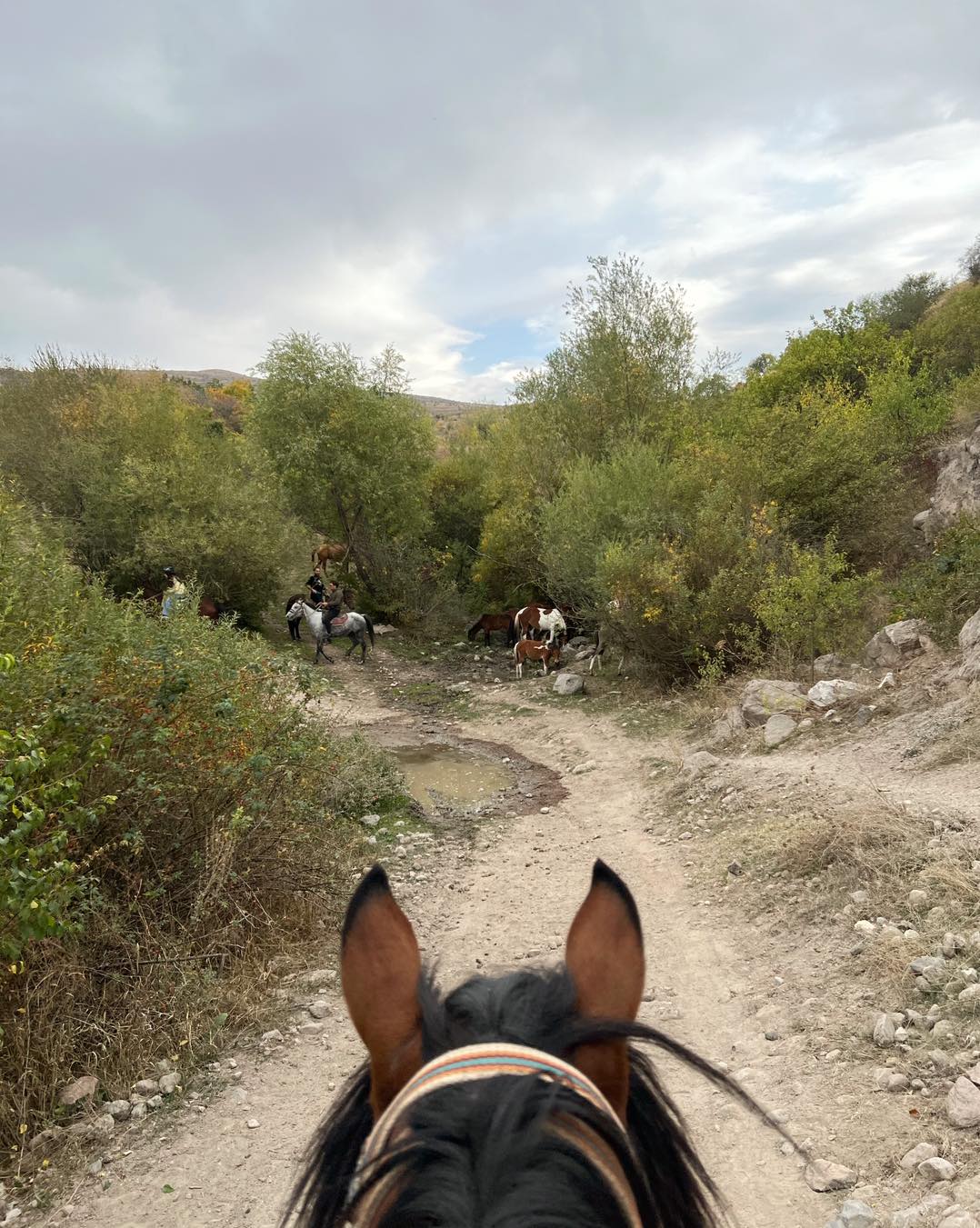 Армения. Конный тур - Романтика горных троп (5/7)