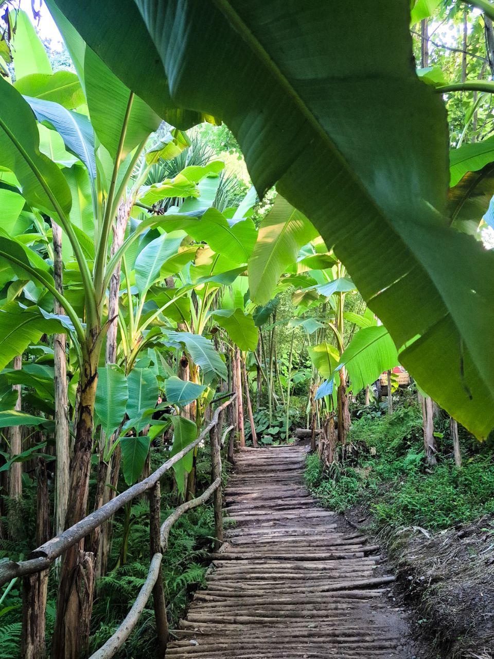 Солнечная Грузия! На море в Батуми + Тбилиси, Мартвили и Аджария! (55/58)
