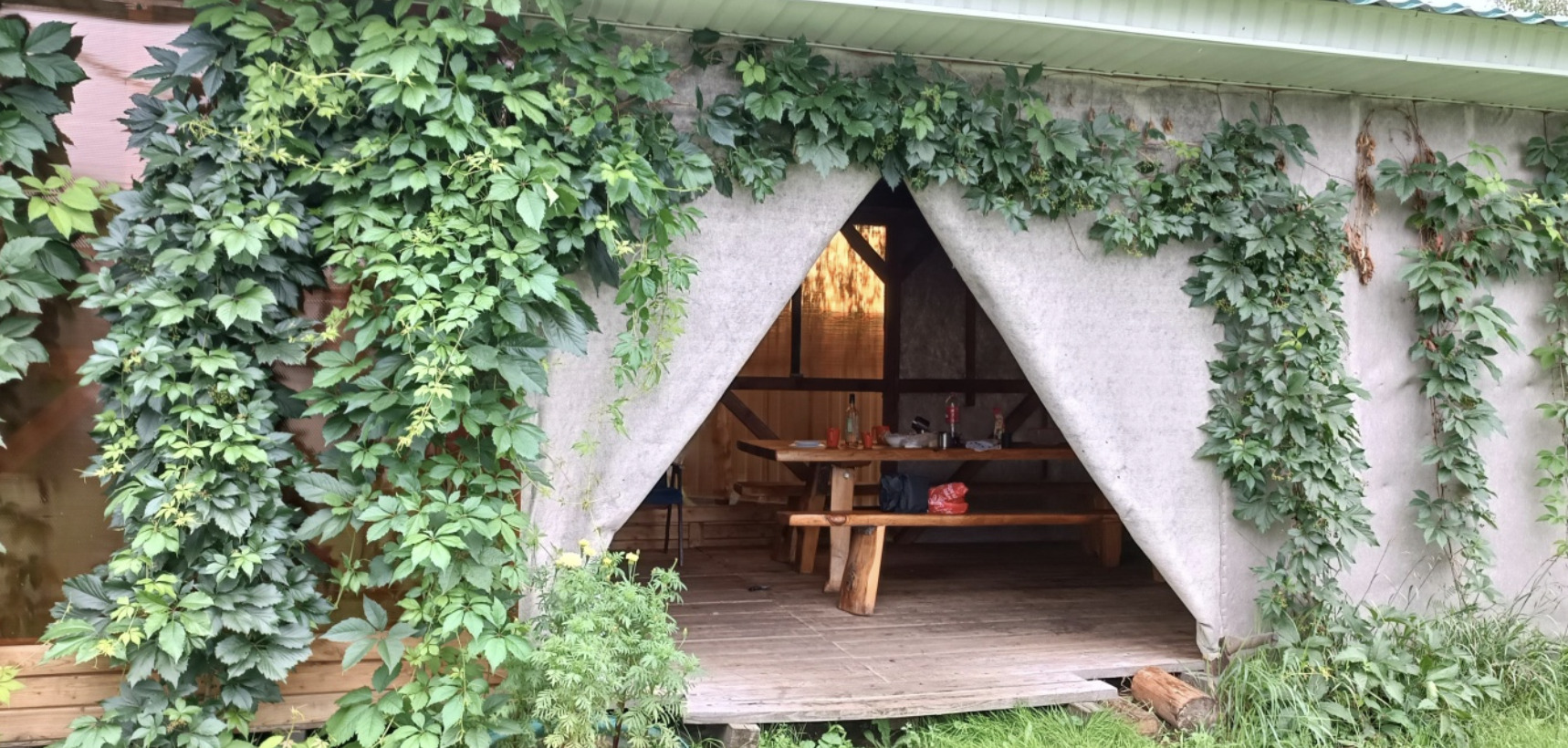 Нетронутый Алтай — без толп туристов, всё включено! (4/29)