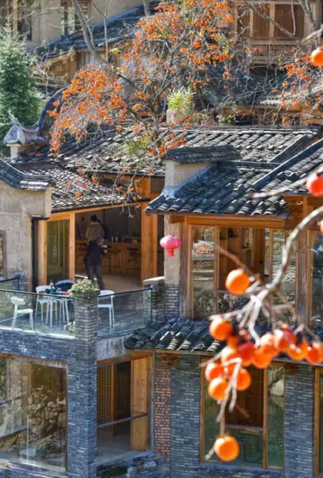 Осенняя сказка Восточного Фуцзянь: Фучжоу и панды, хурма и древние деревни Пиннаня (9/24)