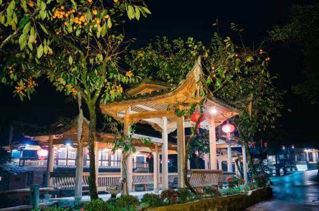 Осенняя сказка Восточного Фуцзянь: Фучжоу и панды, хурма и древние деревни Пиннаня (13/24)