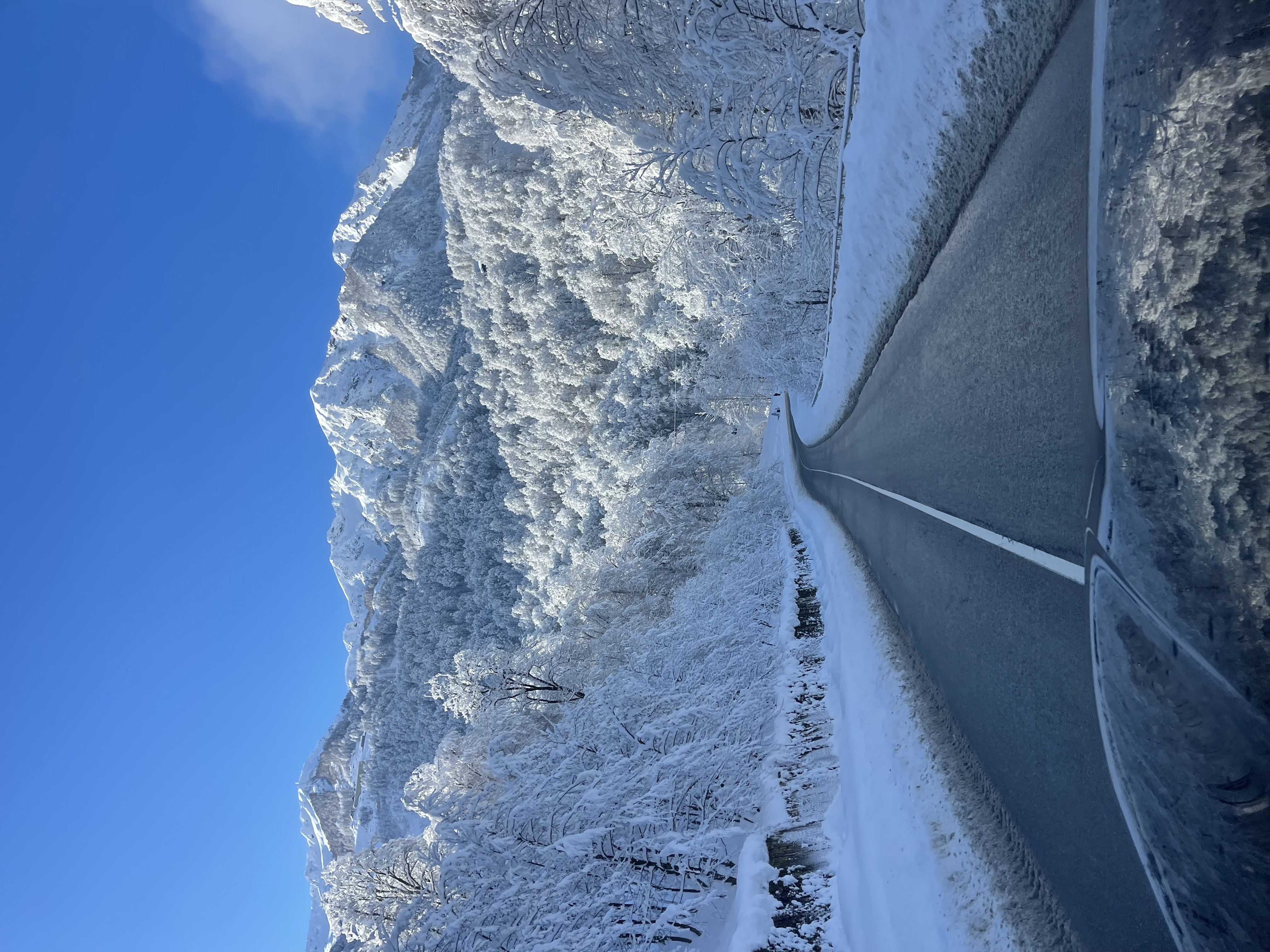 Катание с Гидом на горнолыжных курортах Красной Поляны
