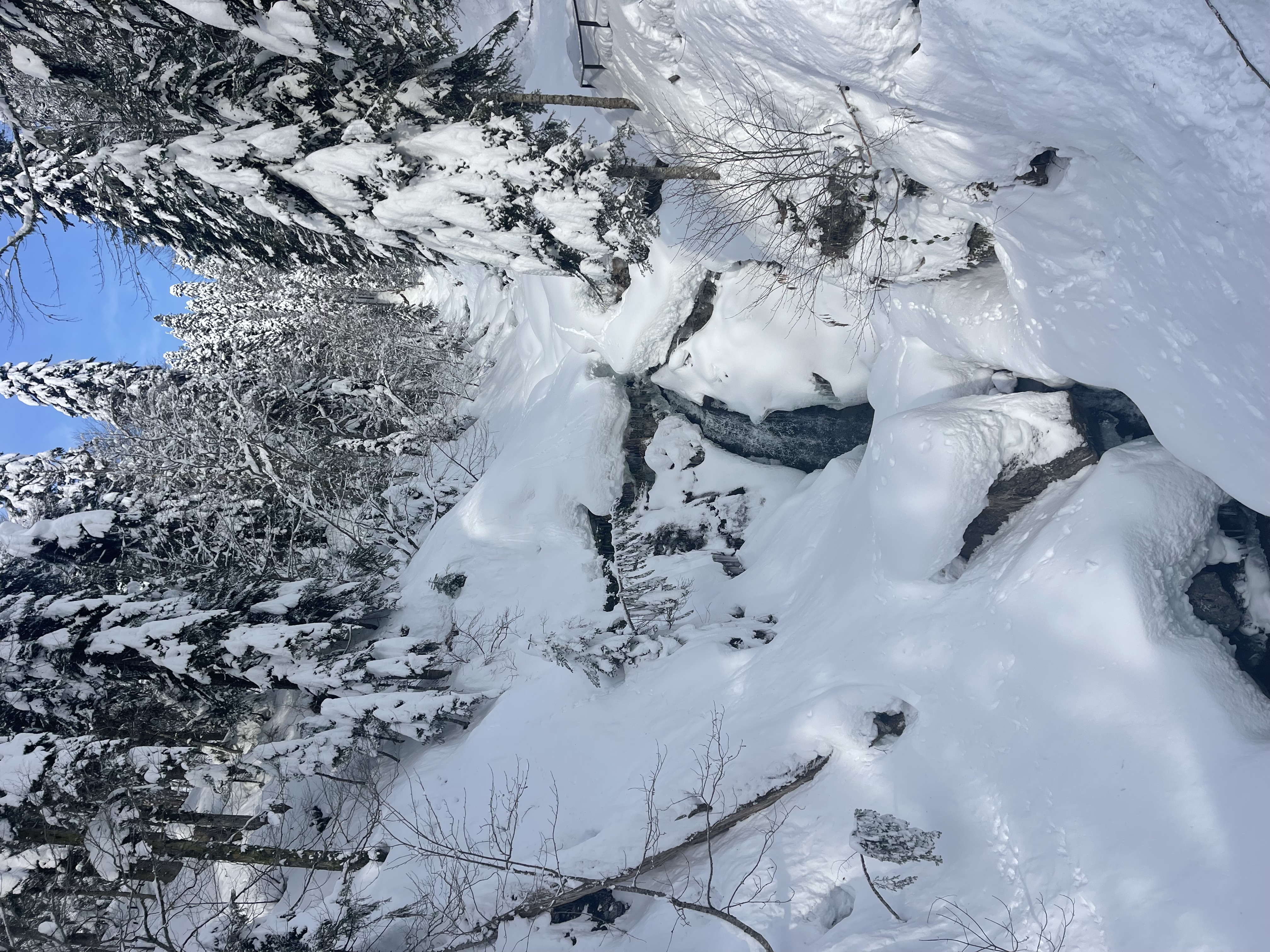 Катание с Гидом на горнолыжных курортах Красной Поляны (3/7)