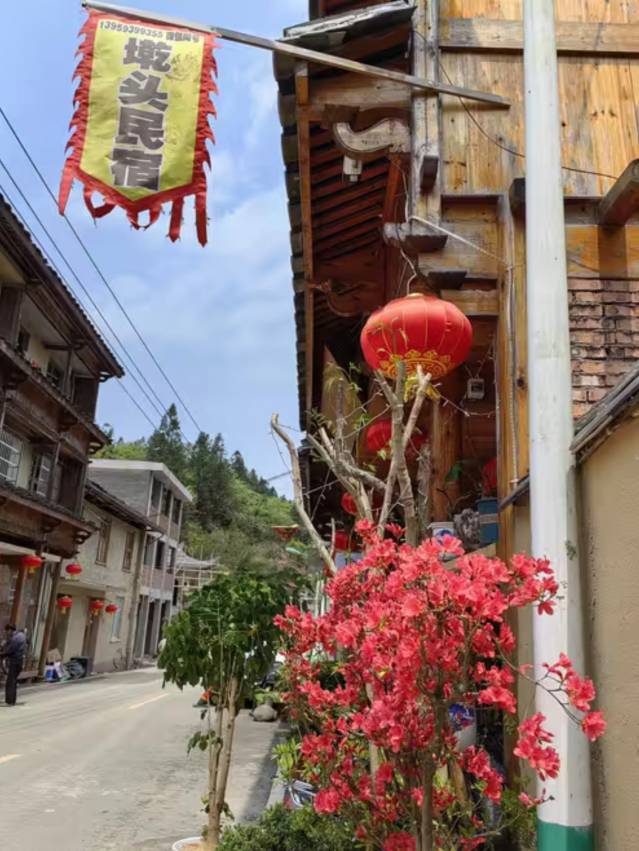 Осенняя сказка Восточного Фуцзянь: Фучжоу и панды, хурма и древние деревни Пиннаня (11/24)