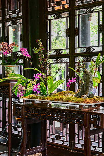 Красоты Восточного Китая: Шанхай, Чжуцзяцзяо, озеро Циншань, рассвет в горах Хуаншань (8/56)