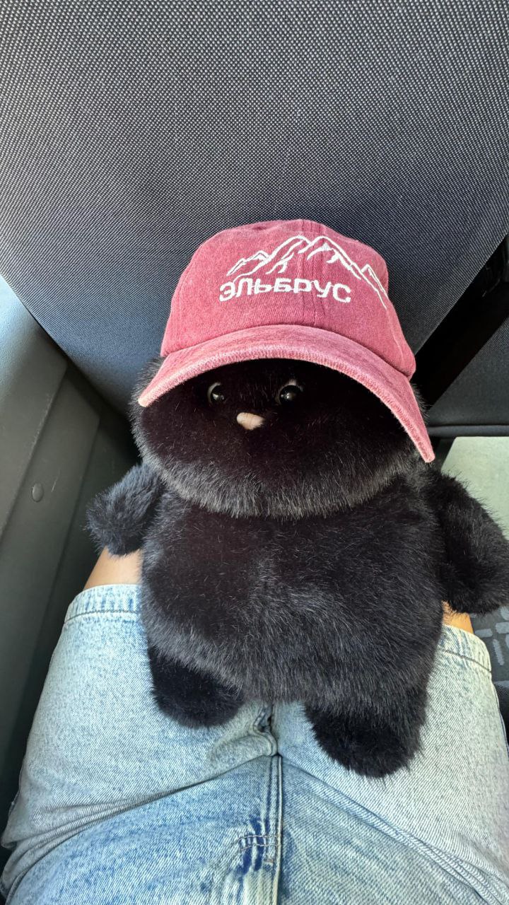 Wow! Тур по Кчр и Кбр. Кому реки по колено и горы по плечу! (35/62)