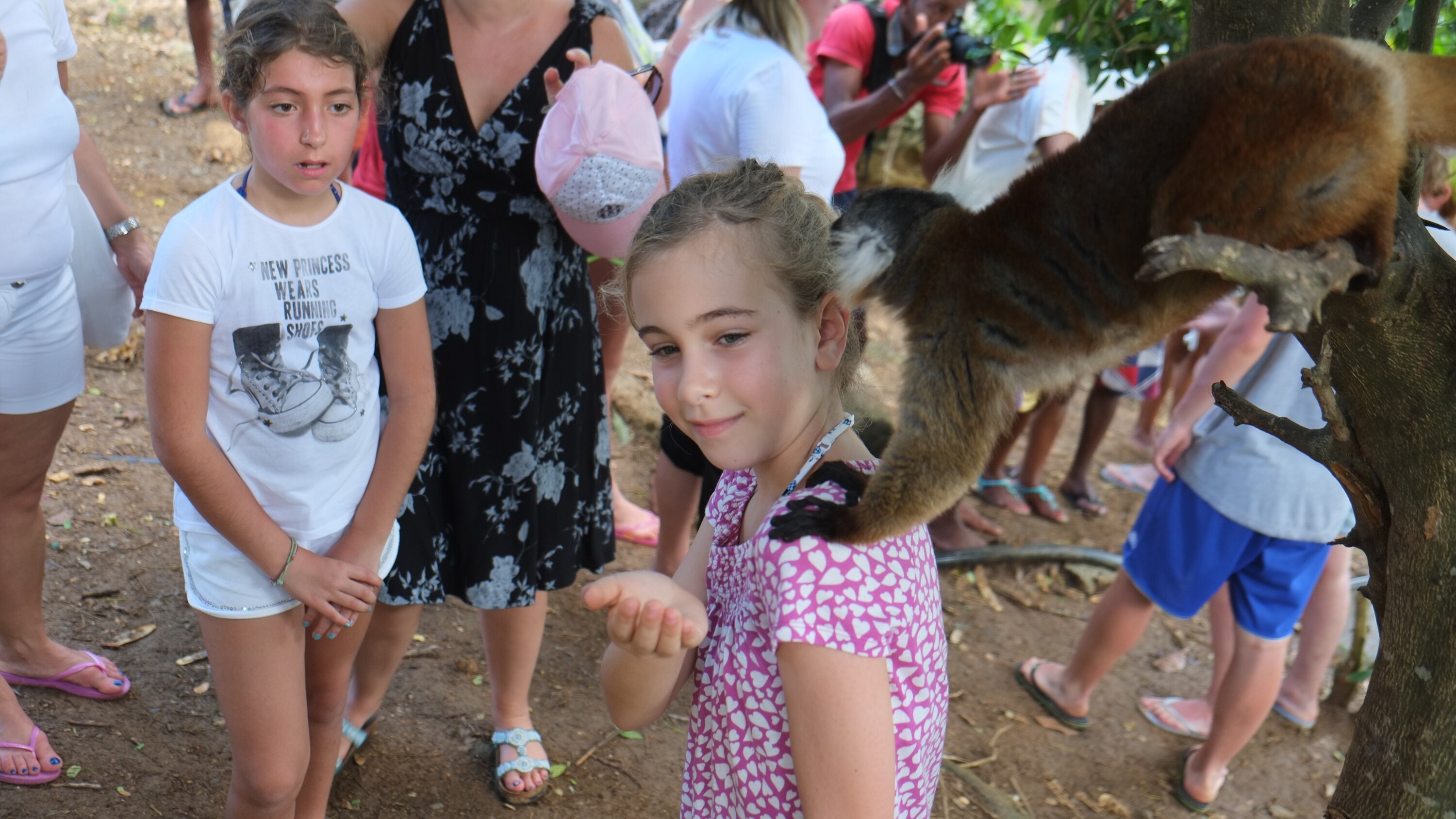 Магия Мадагаскара: Знаковые места и Пляжный Отдых - Нуси Бе с Лучшей Подборкой Отелей (30/32)