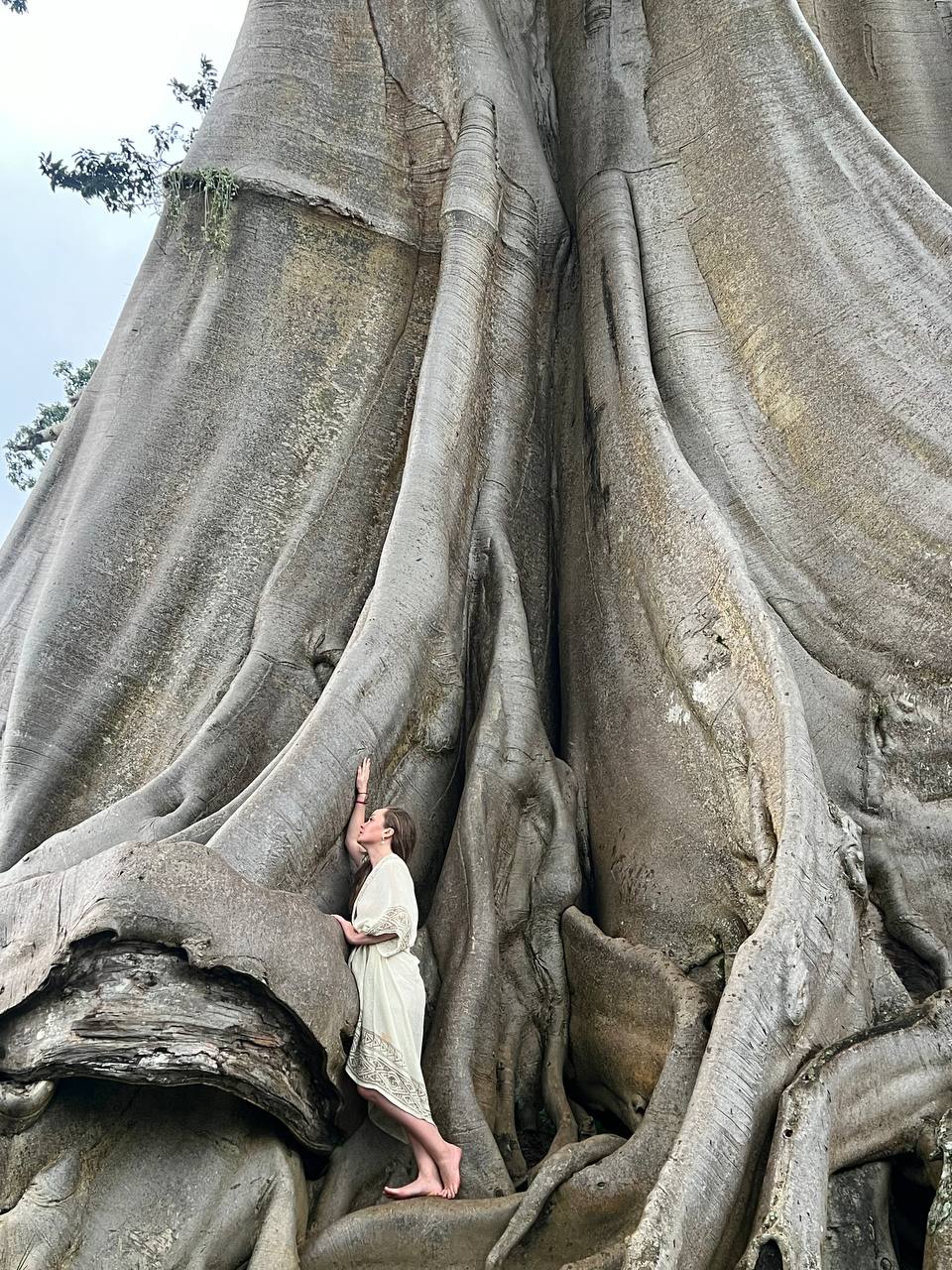 Бали под ключ: вулкан Иджен и острова, комфорт и приключения (31/56)