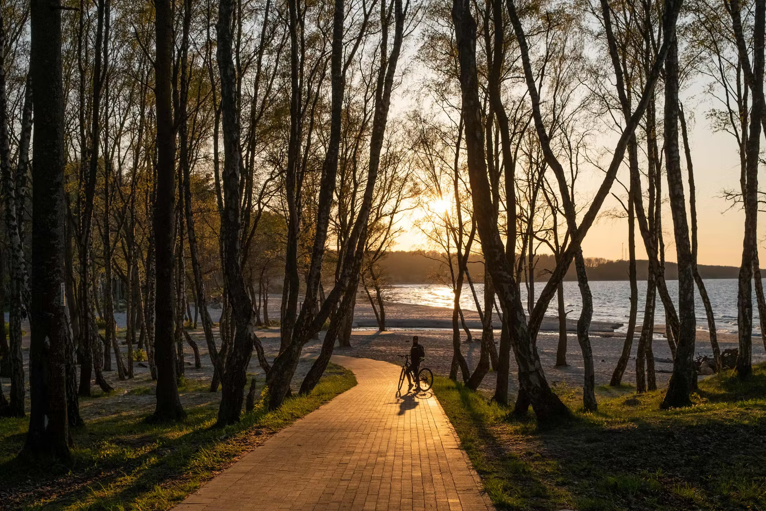 Велопрогулка вдоль Балтийского моря и Зеленоградск (9/9)