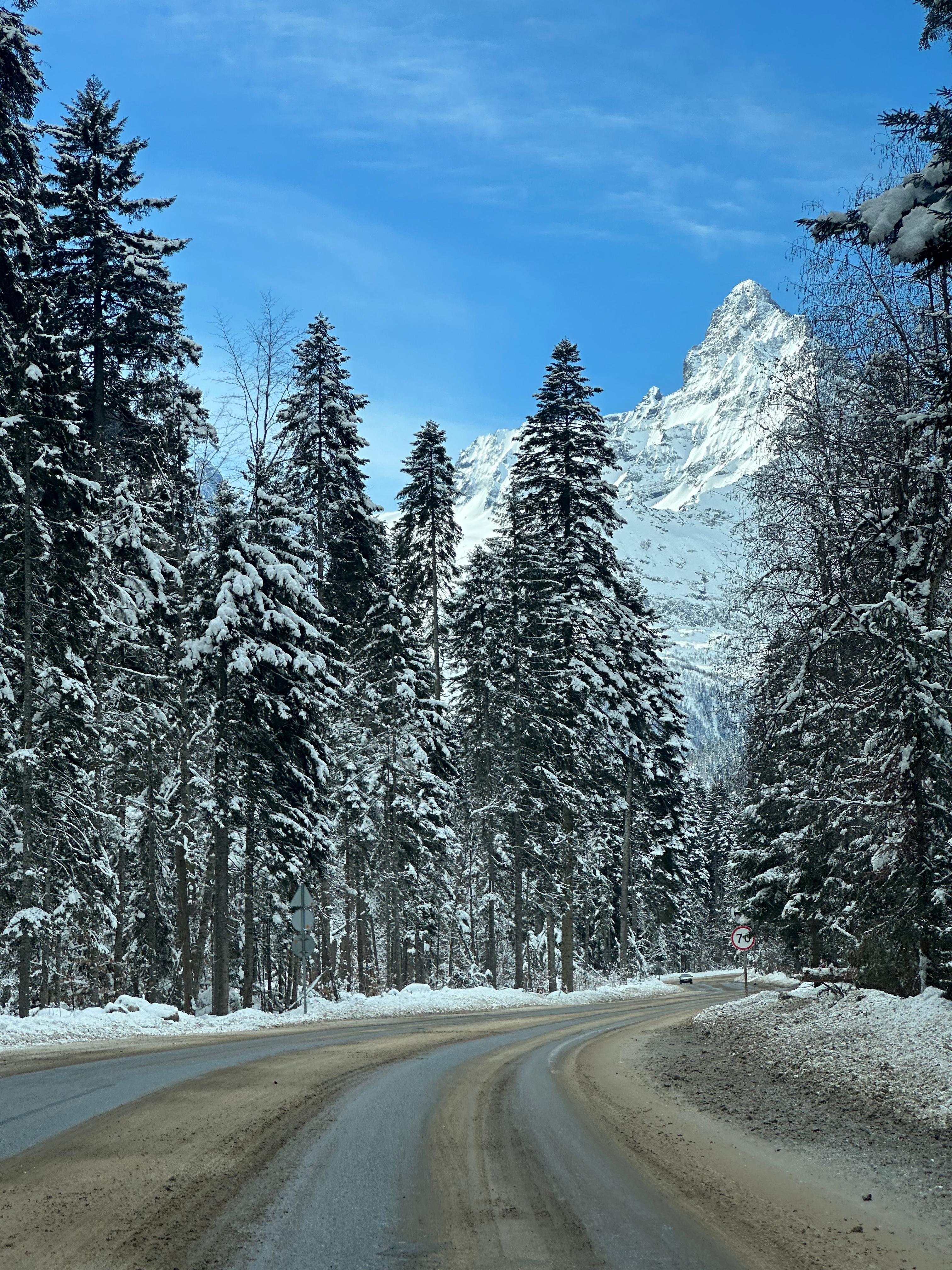 Молодежный тур в Домбай 3дня/2ночи (46/60)
