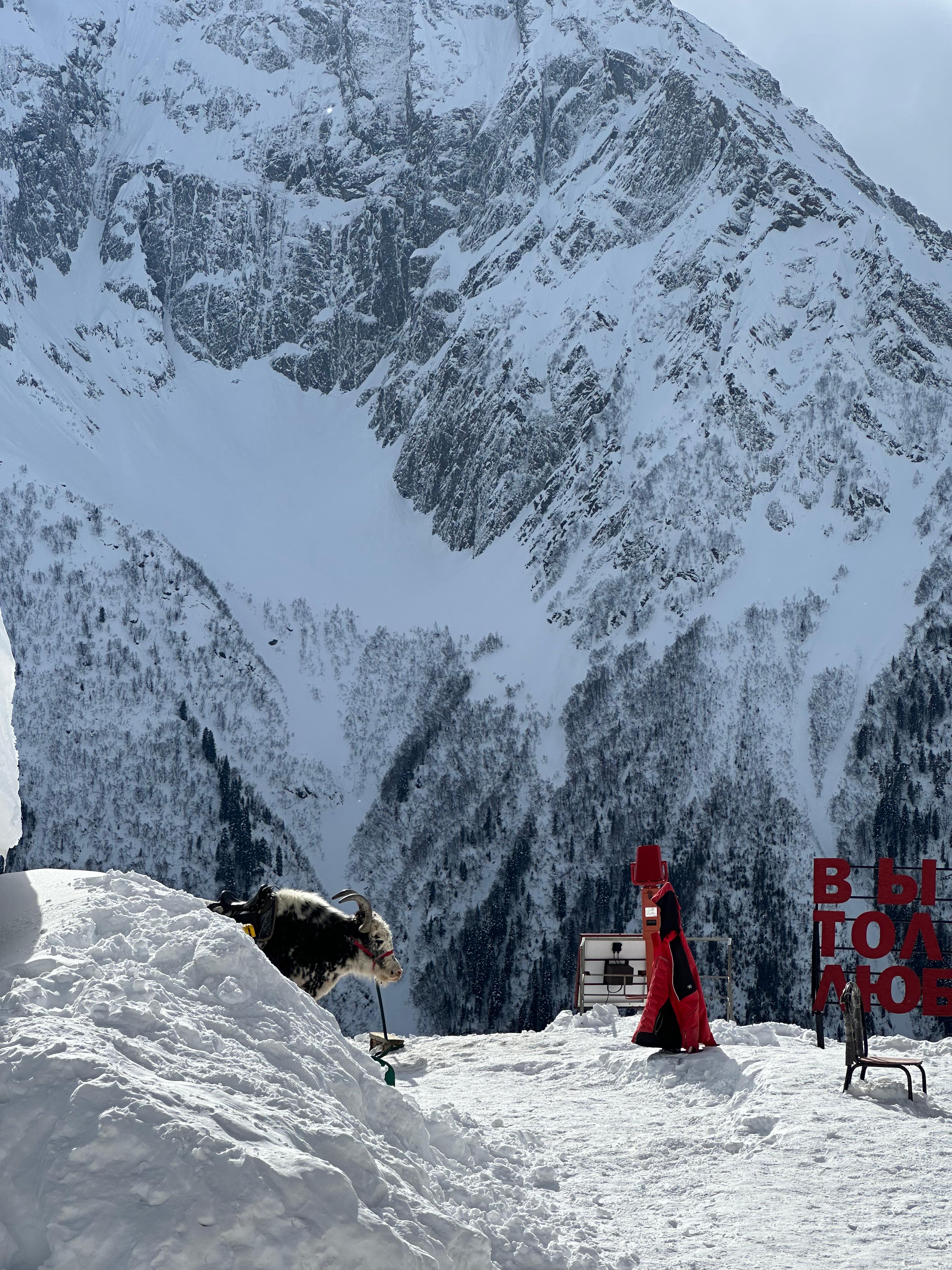 Молодежный тур в Домбай 3дня/2ночи (18/60)