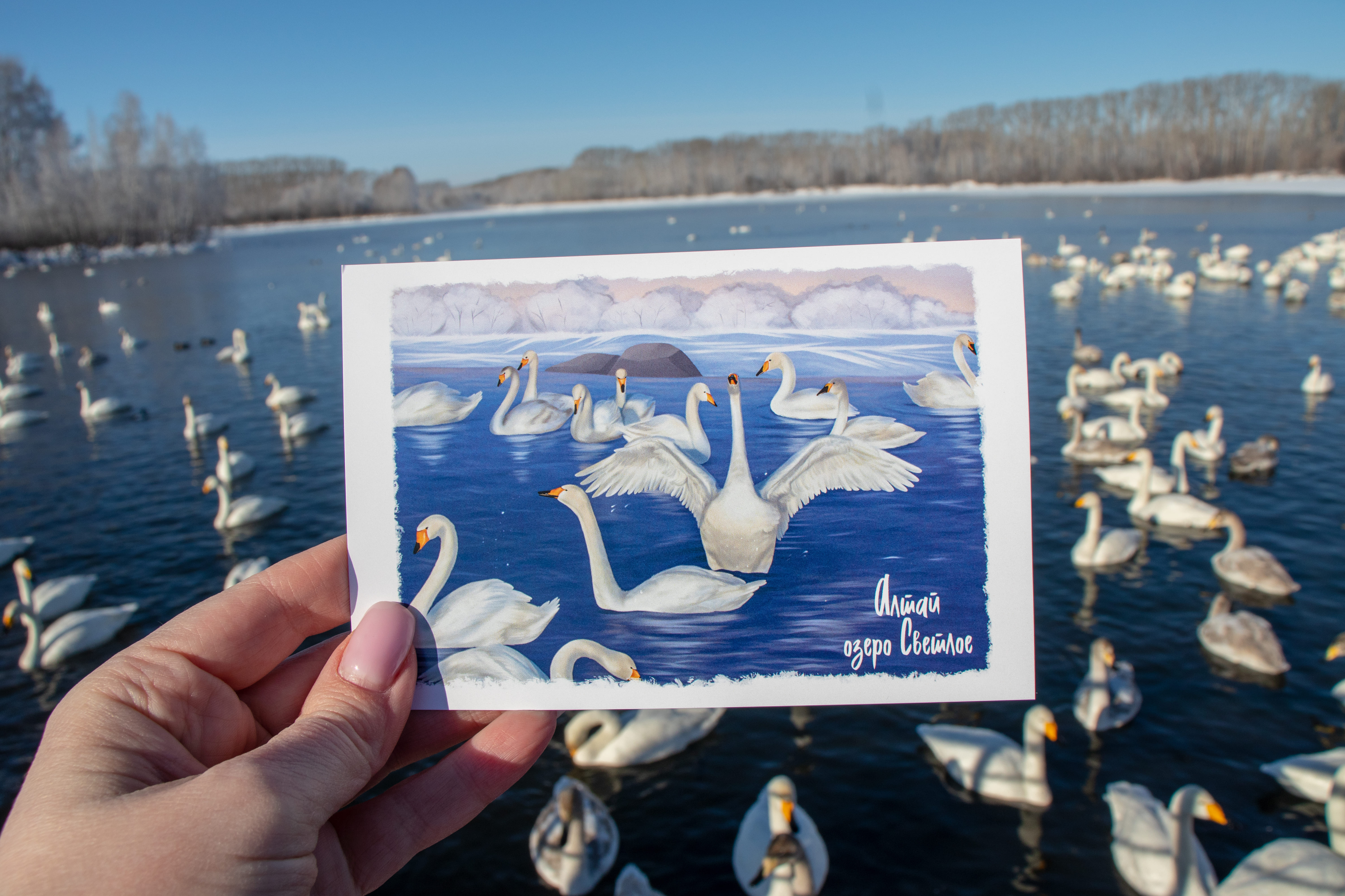 Пейзажи Алтая (группа до 6 чел.)