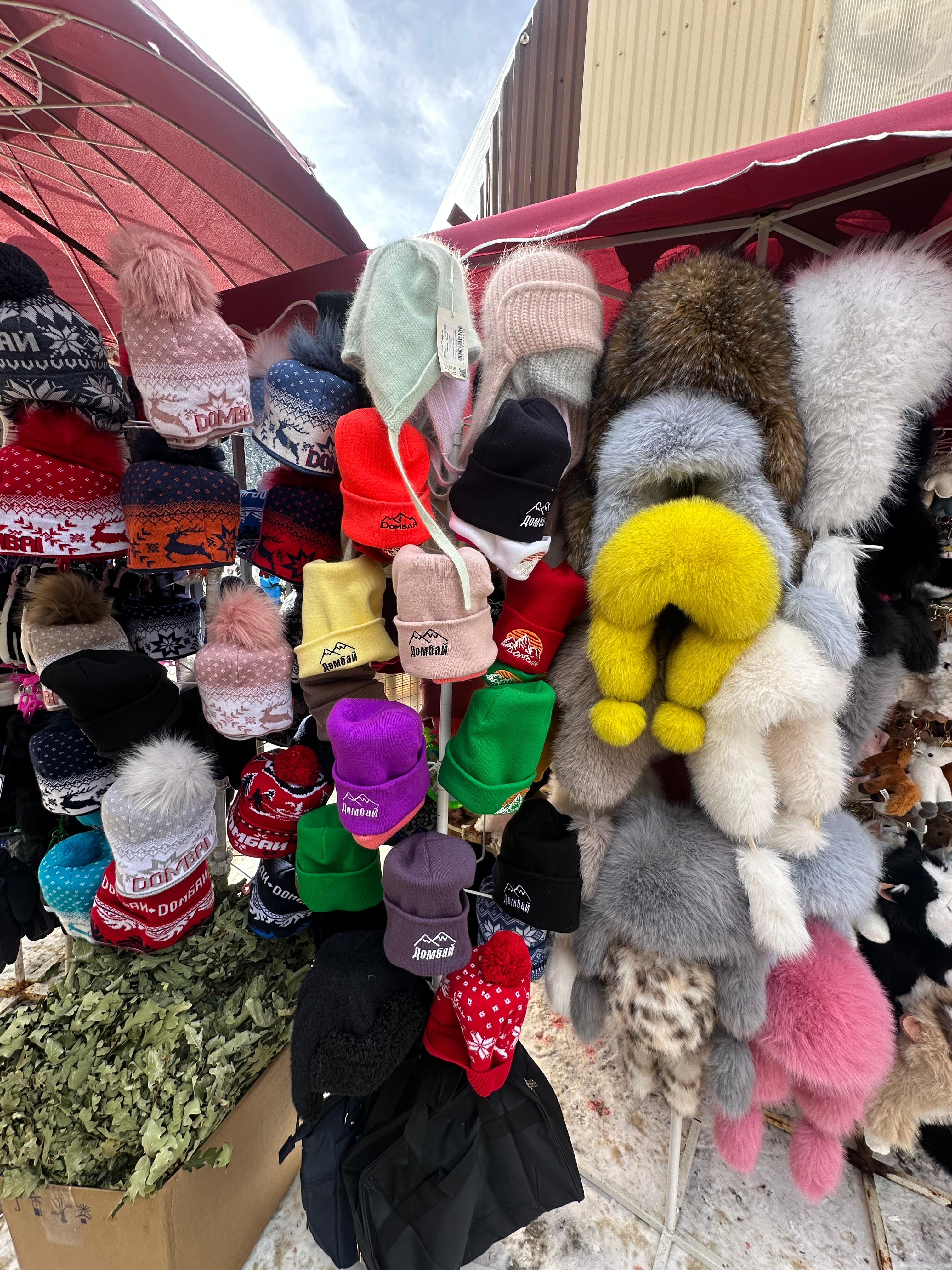 Молодежный тур в Домбай 3дня/2ночи (41/60)