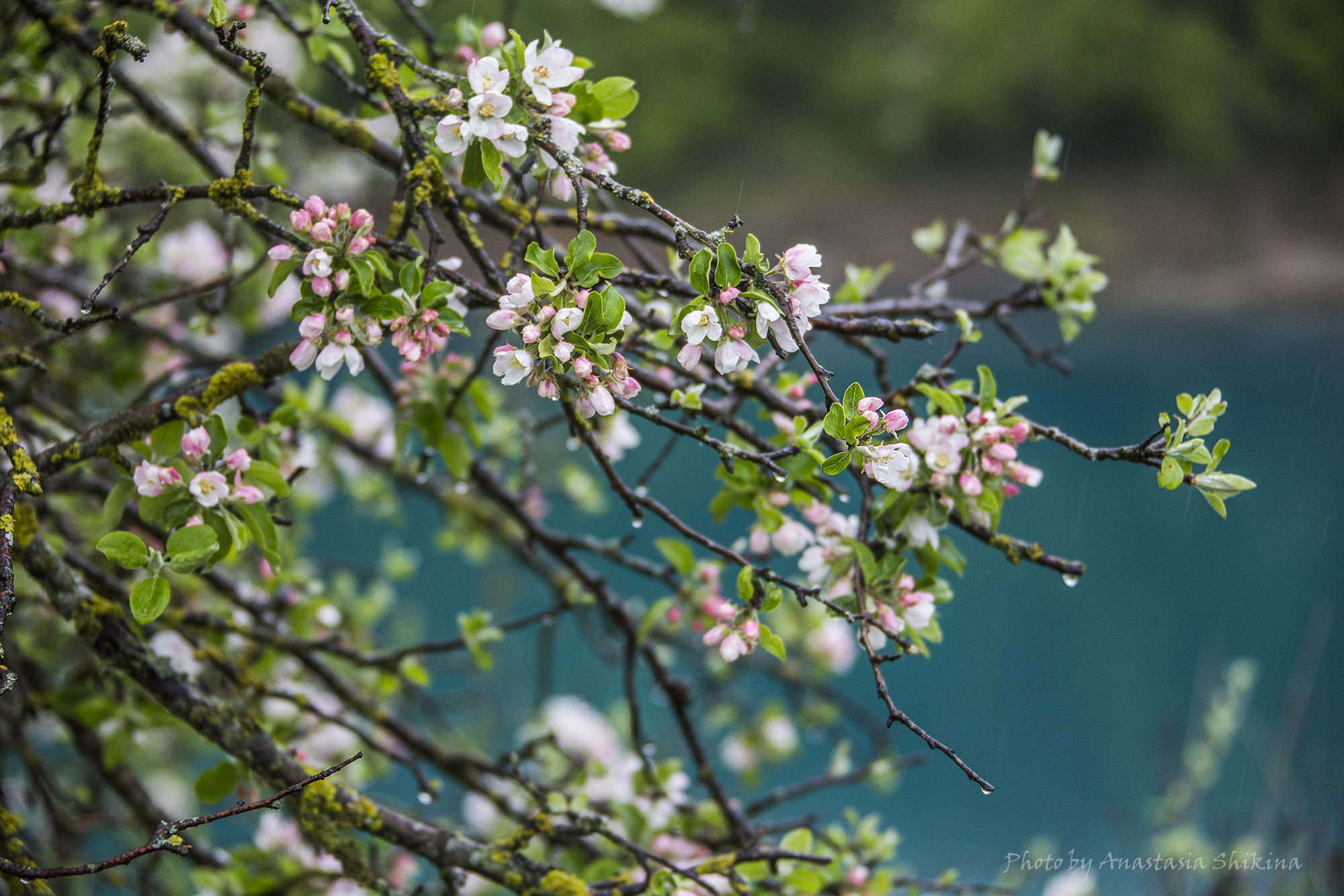 Кавказ покоряет сердца - 11 дней/ 10 ночей (15/16)