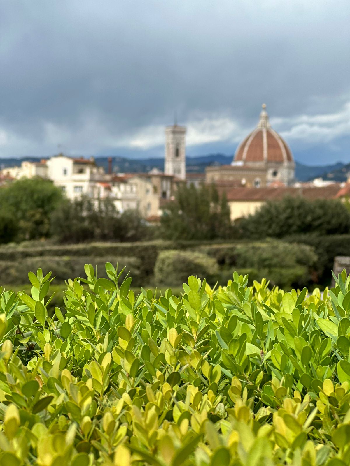 Флоренция и галерея Уффици из Рима за один день (21/24)