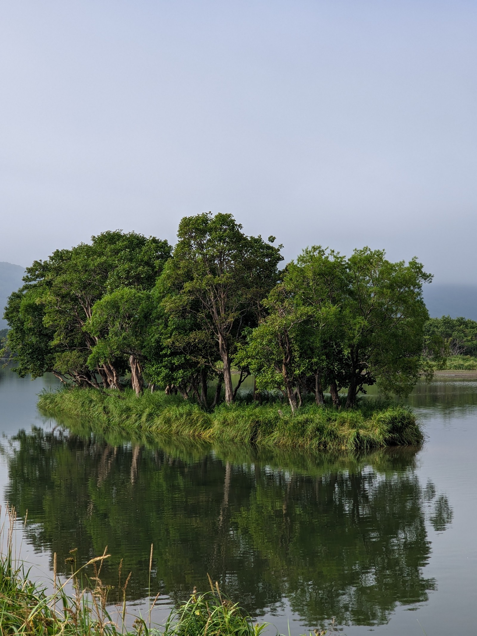 Камчатка: Тихоокеанское Огненное кольцо. (25/42)