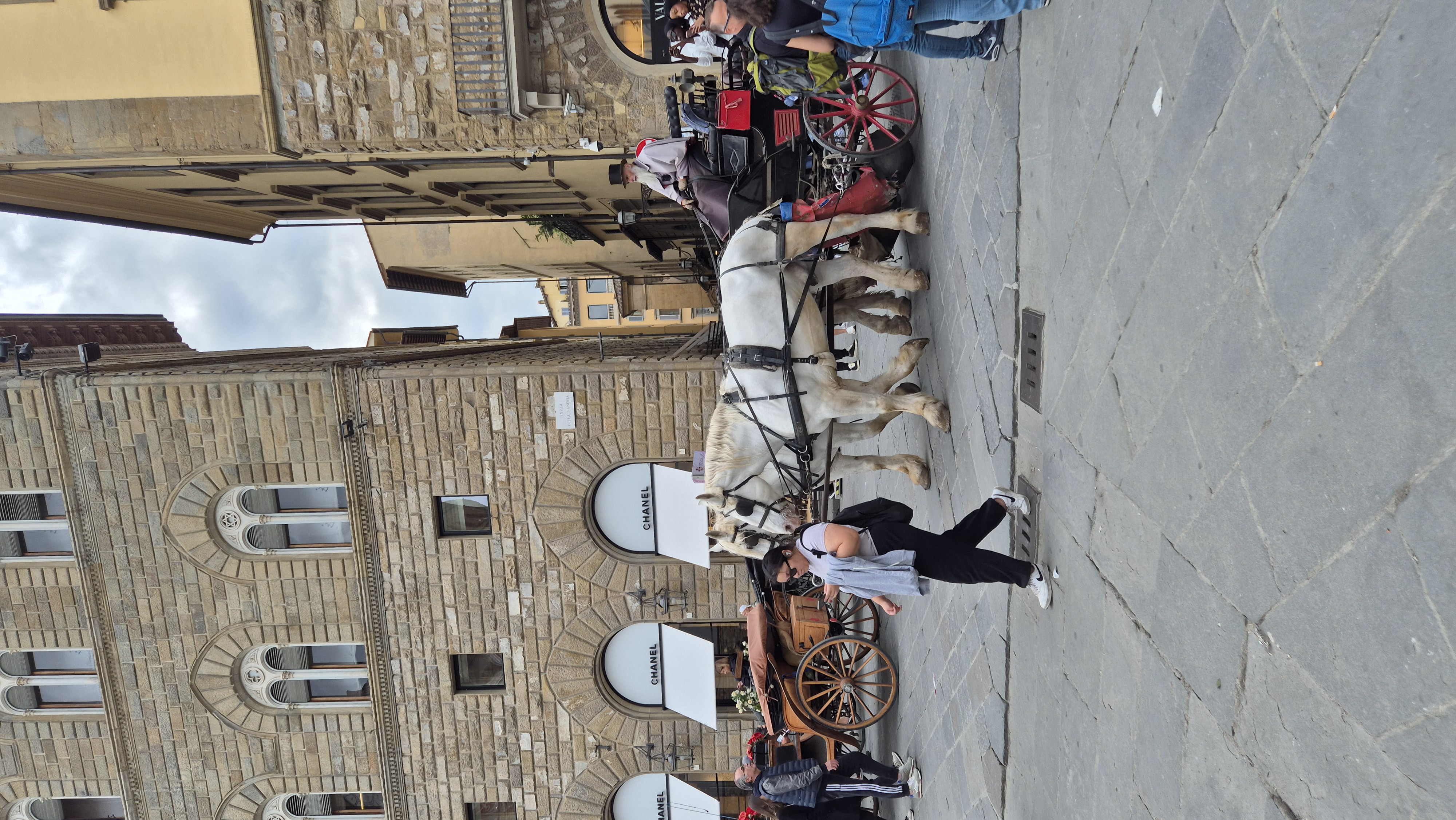 Флоренция и галерея Уффици из Рима за один день (16/24)