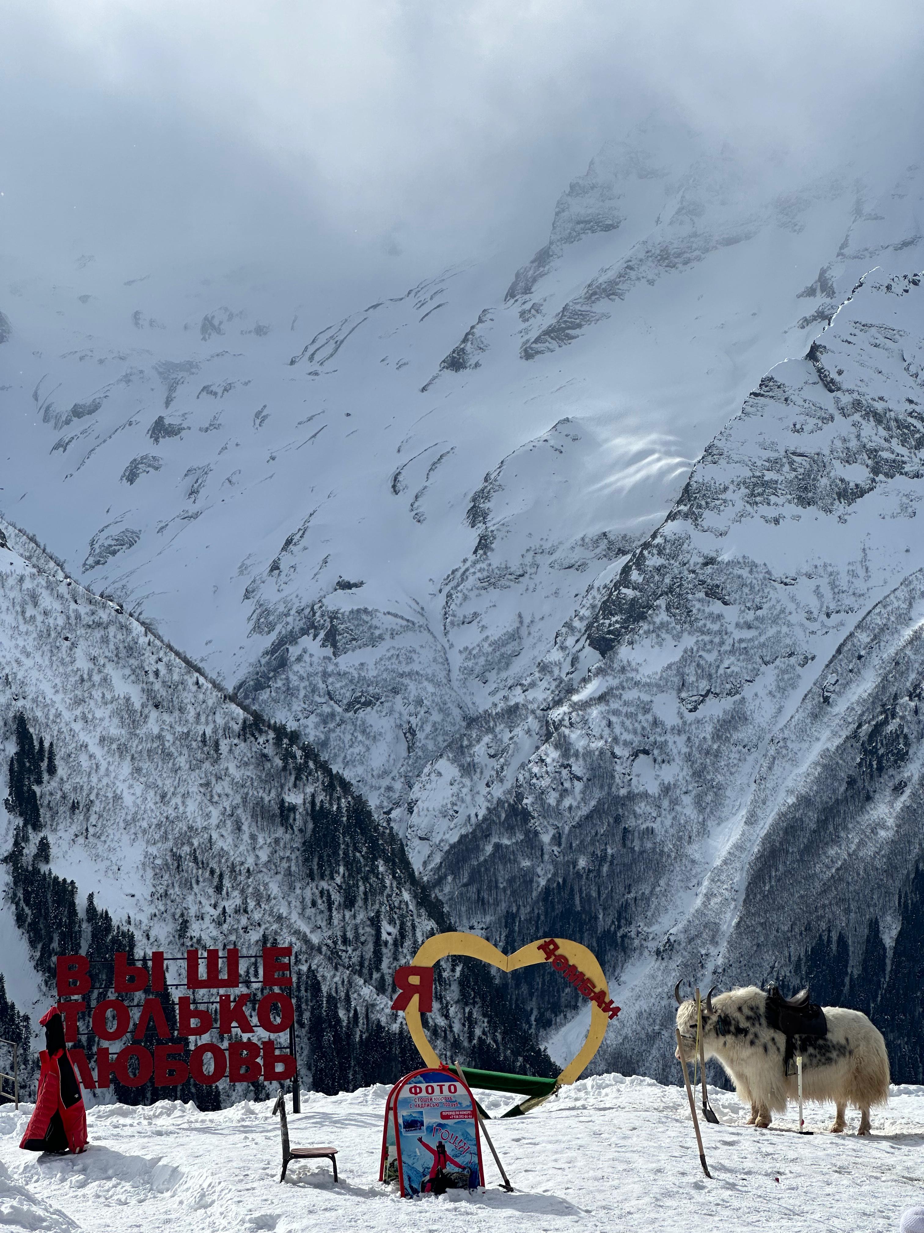 Молодежный тур в Домбай 3дня/2ночи (52/60)