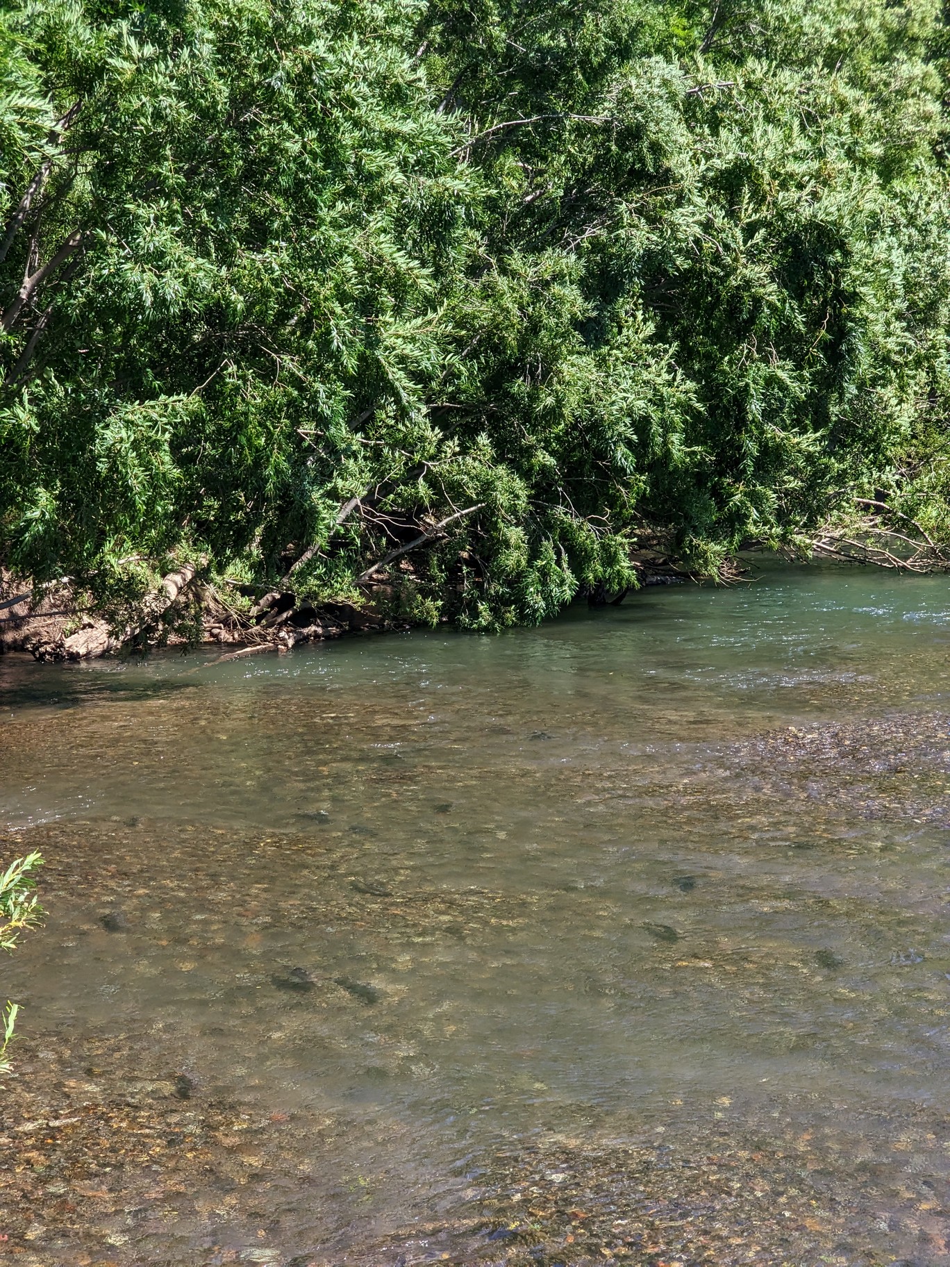 Камчатка: Тихоокеанское Огненное кольцо. (29/42)