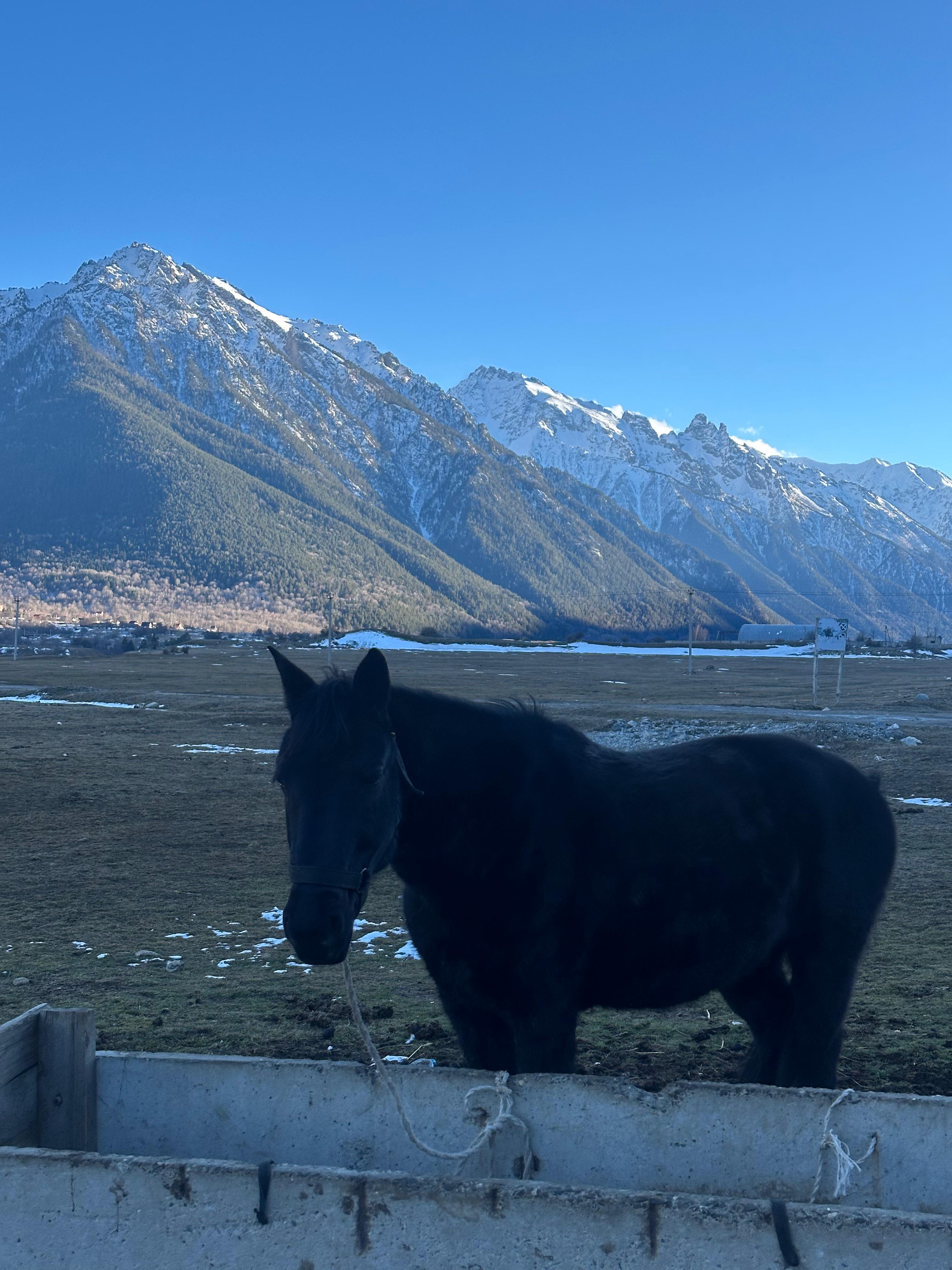 Молодежный тур в Домбай 3дня/2ночи (9/60)