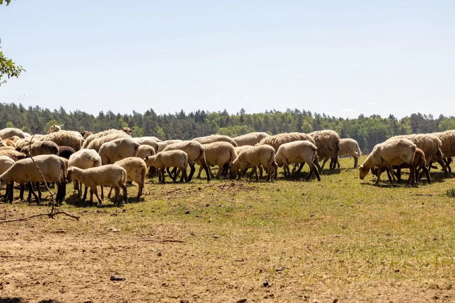 Велопрогулка в Национальном парке Виштынецкий (10/10)