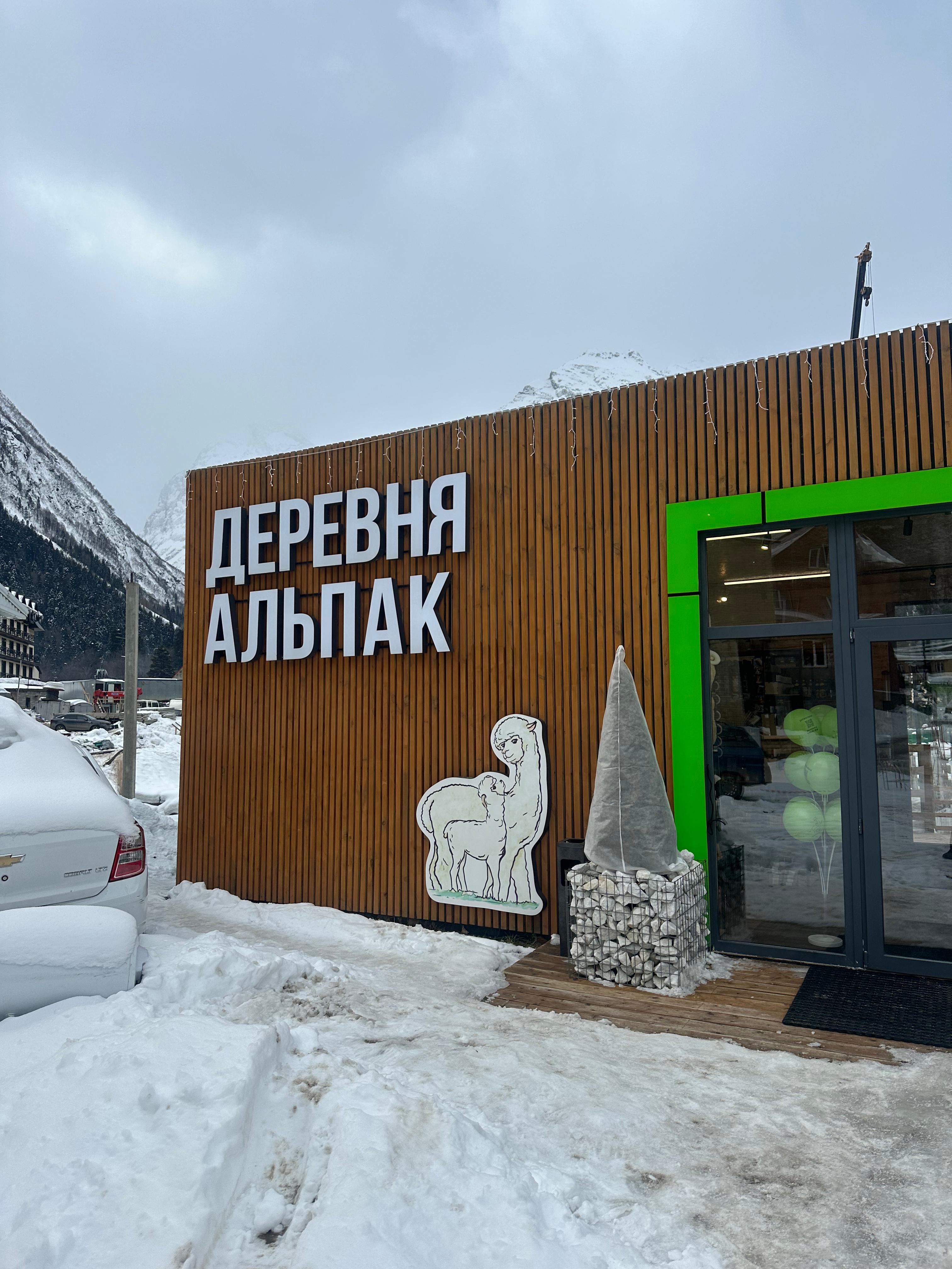 Молодежный тур в Домбай 3дня/2ночи (31/60)