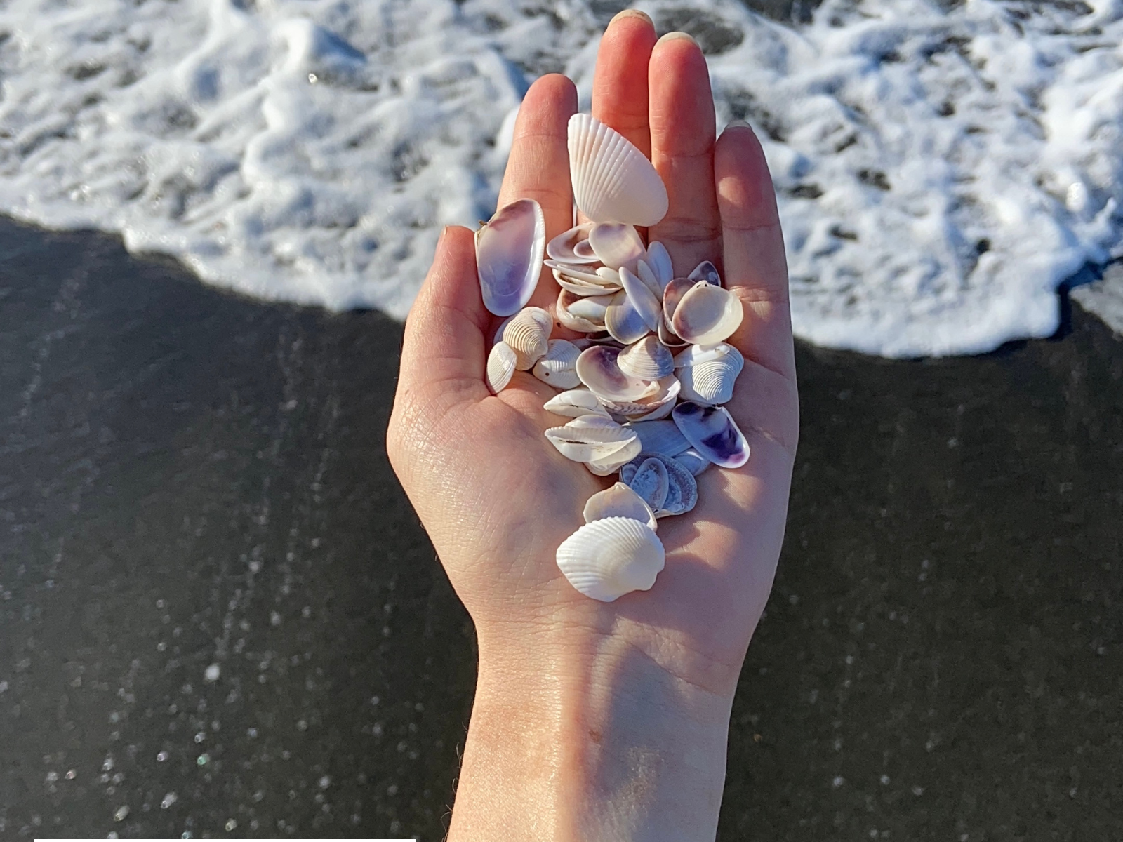 Тур в Батуми отдых на море и экскурсии