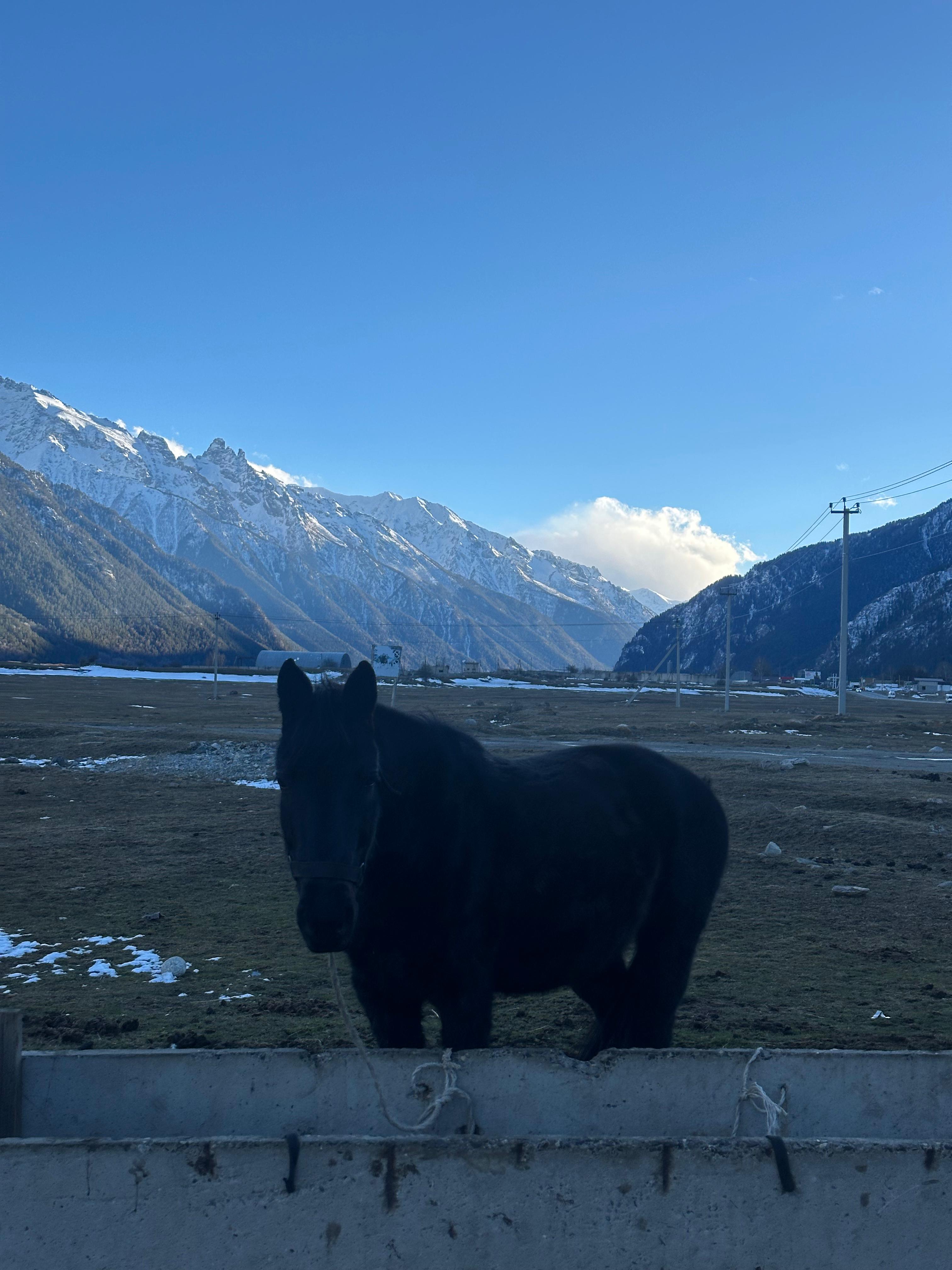 Молодежный тур в Домбай 3дня/2ночи (58/60)