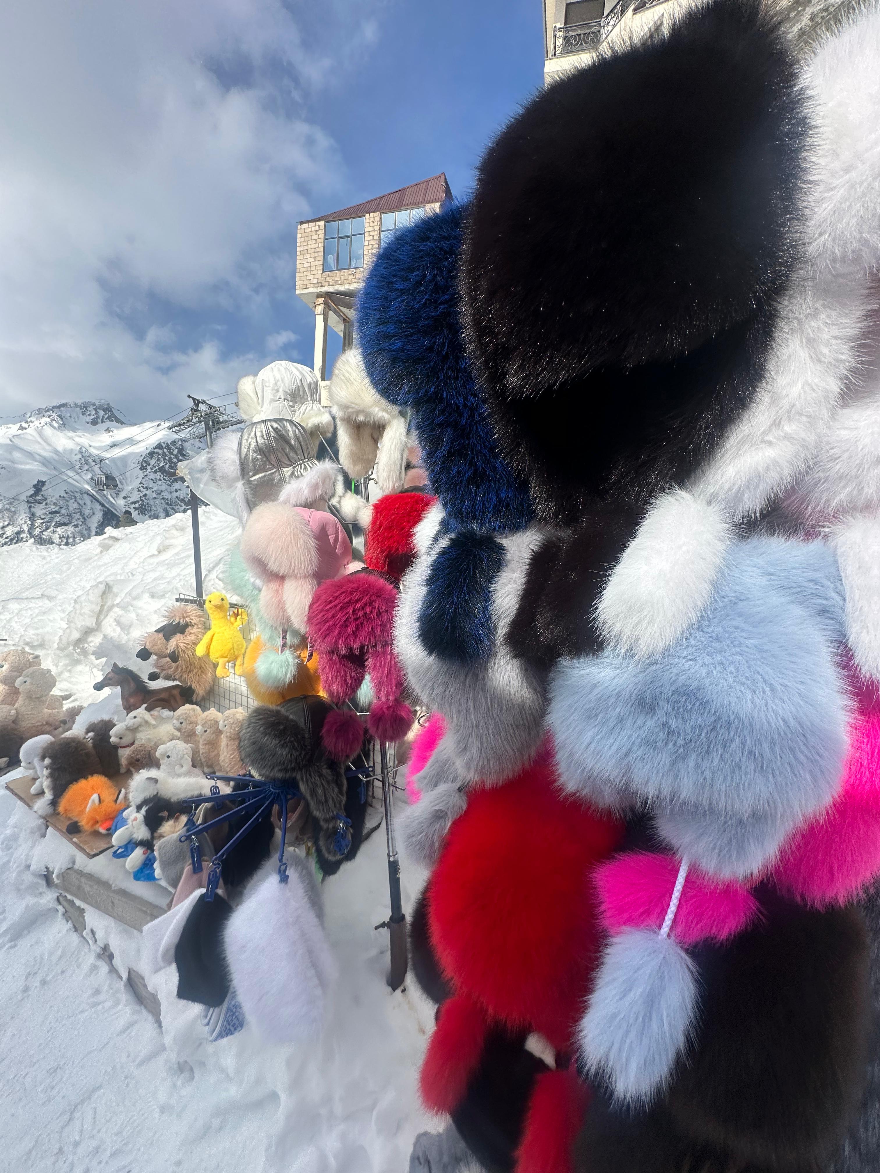 Молодежный тур в Домбай 3дня/2ночи (23/60)