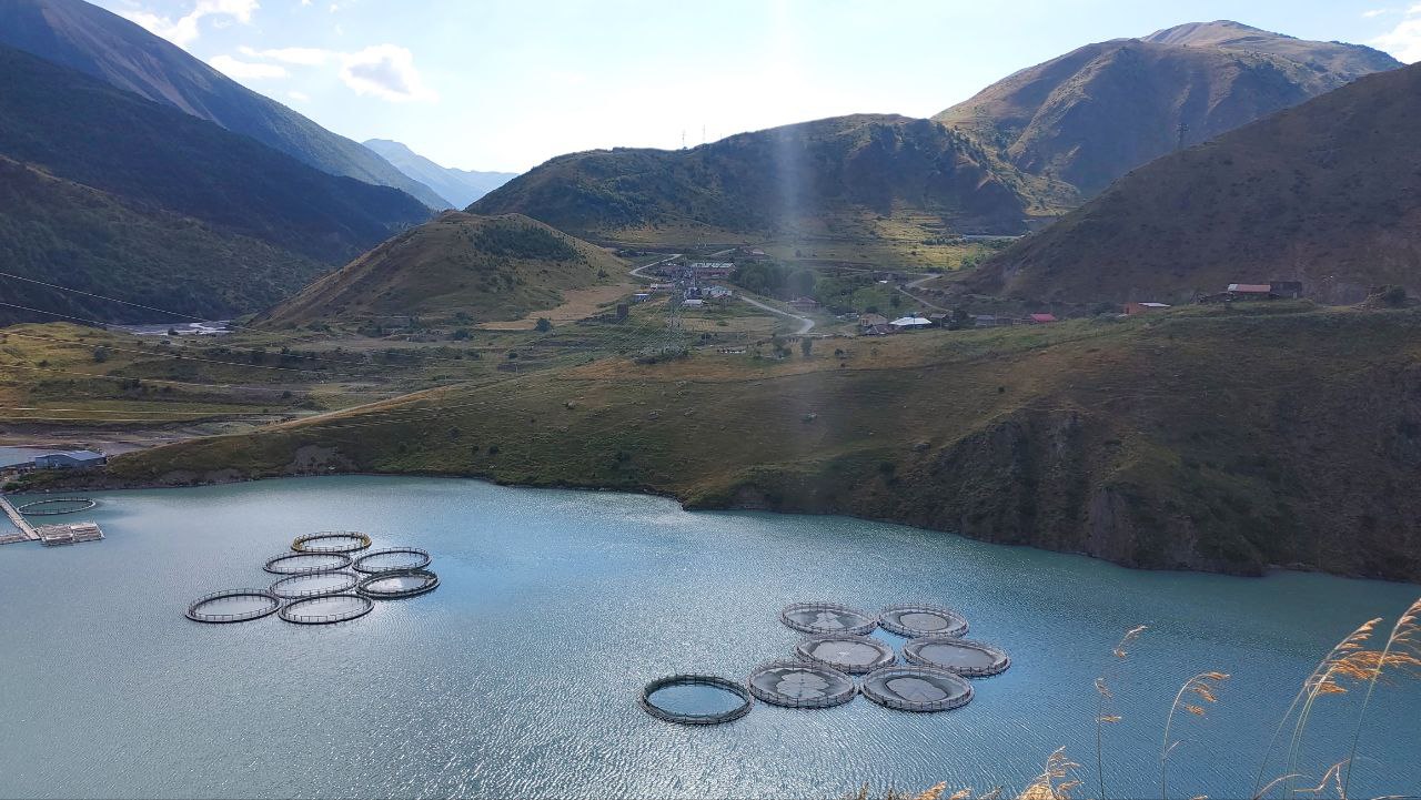 Кавказ покоряет сердца - 11 дней/ 10 ночей (13/16)