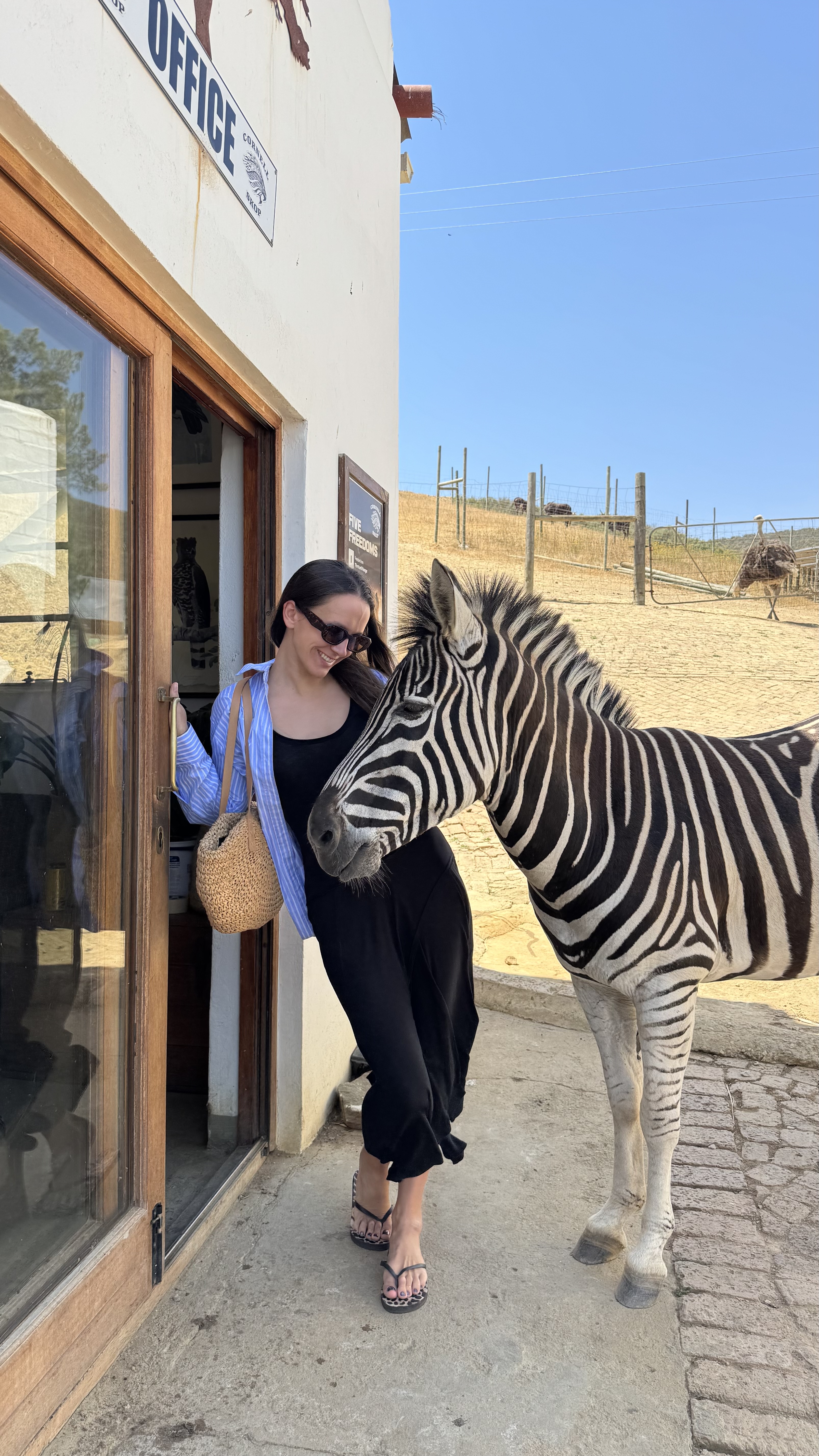 Юг Африки - Юар Замбия Зимбабве Ботсвана (1/54)